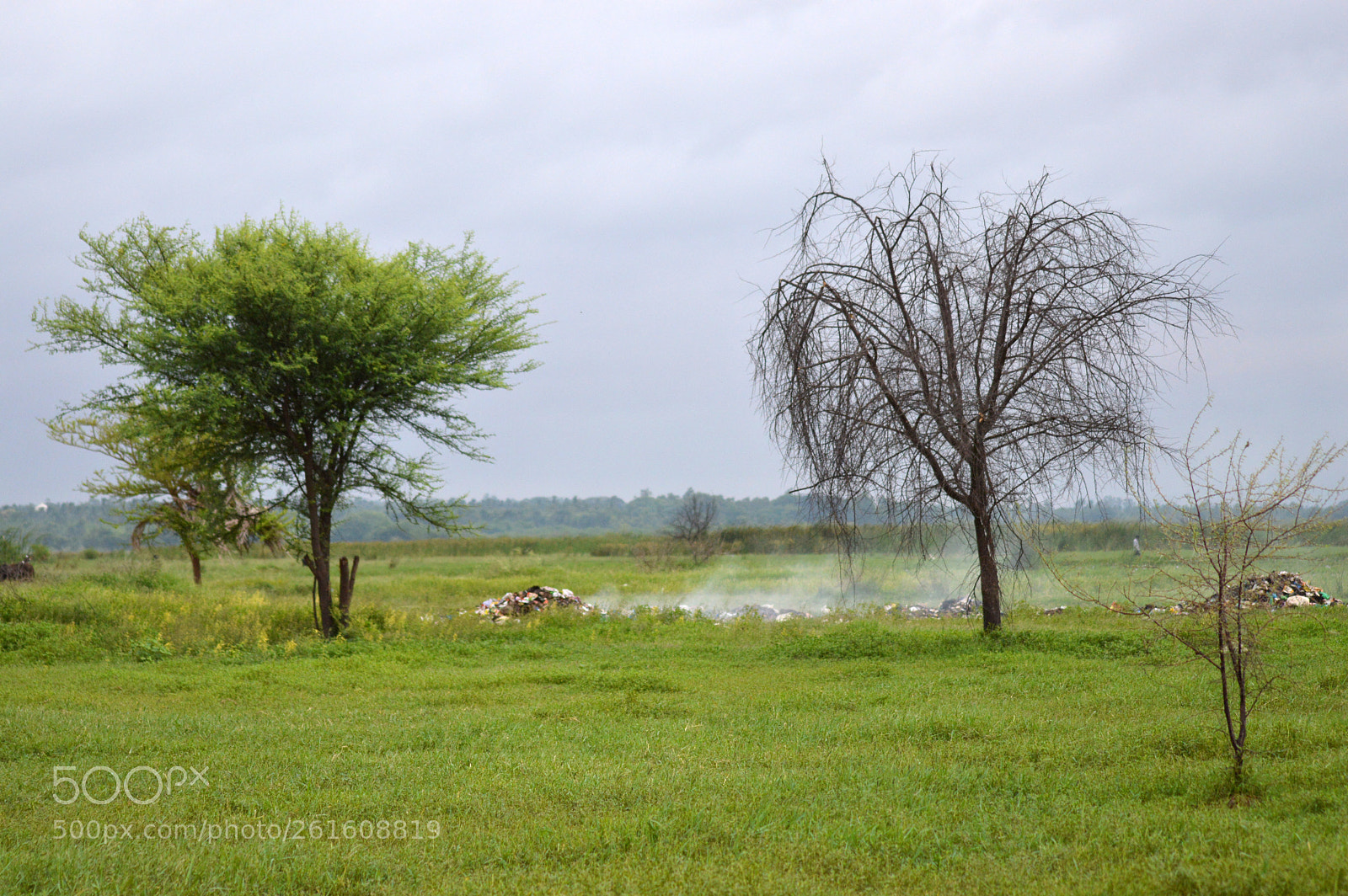 Nikon D3200 sample photo. Dsc photography