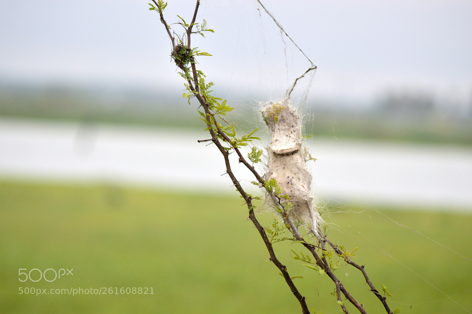 Nikon D3200 sample photo. Dsc photography
