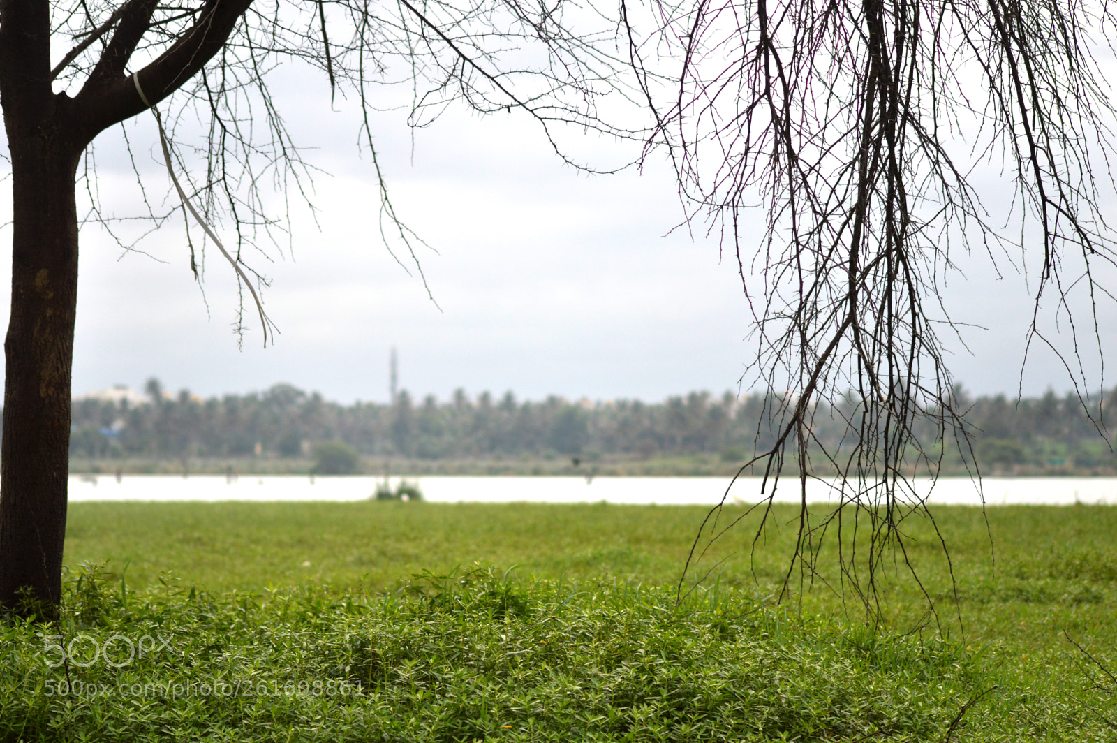 Nikon D3200 sample photo. Dsc photography