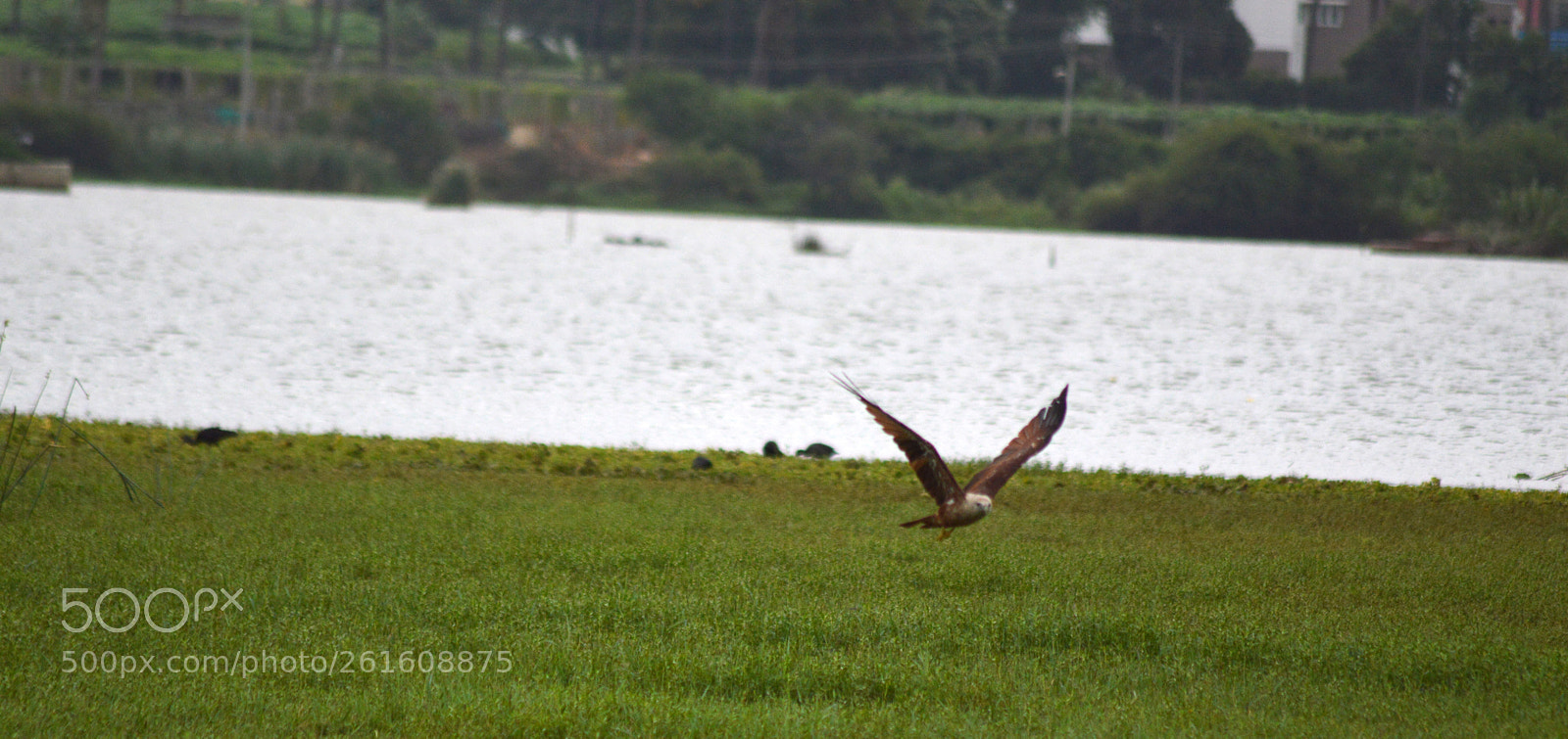 Nikon D3200 sample photo. Dsc photography