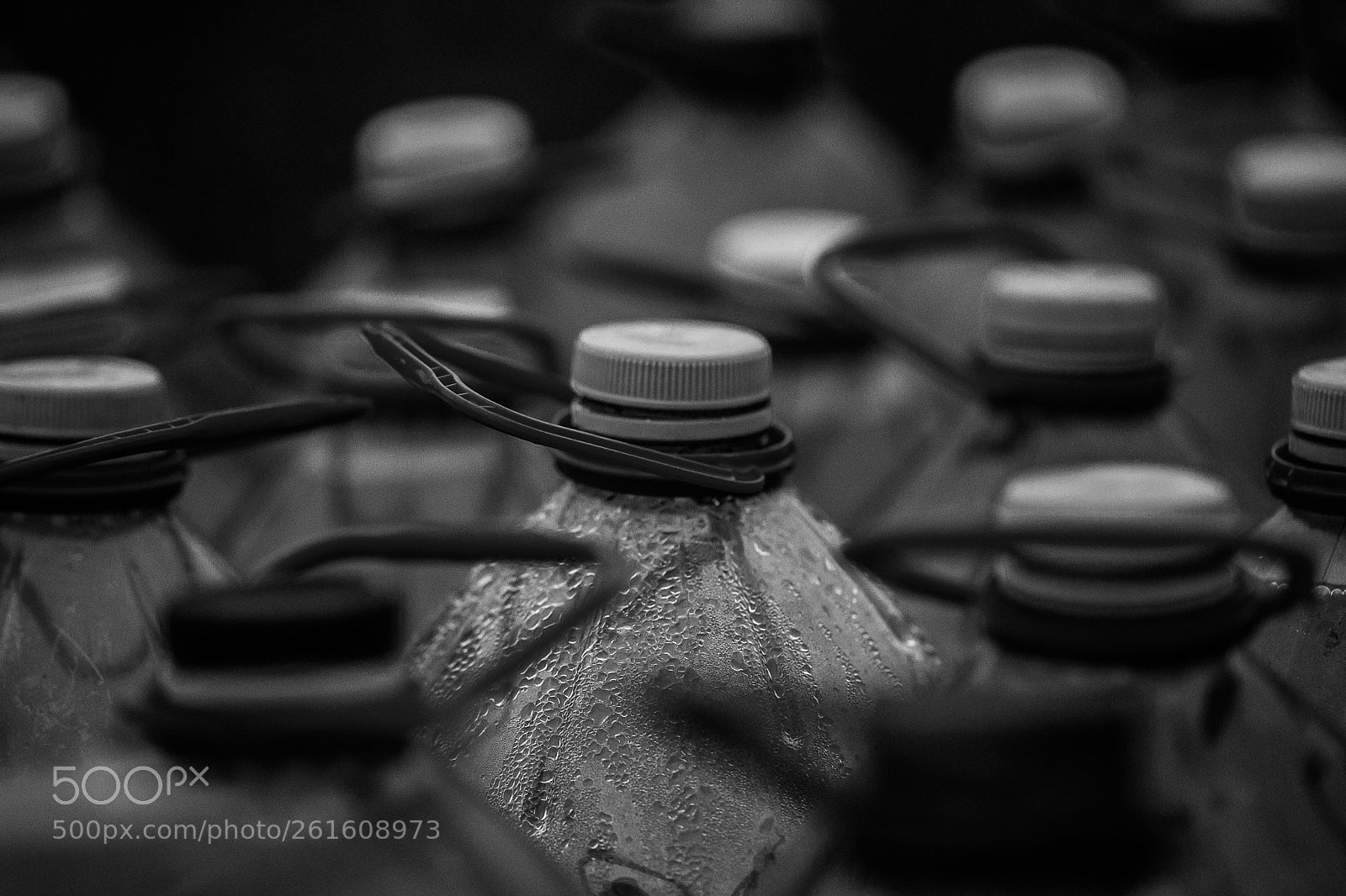 Canon EOS 5D Mark II sample photo. Untitled photography