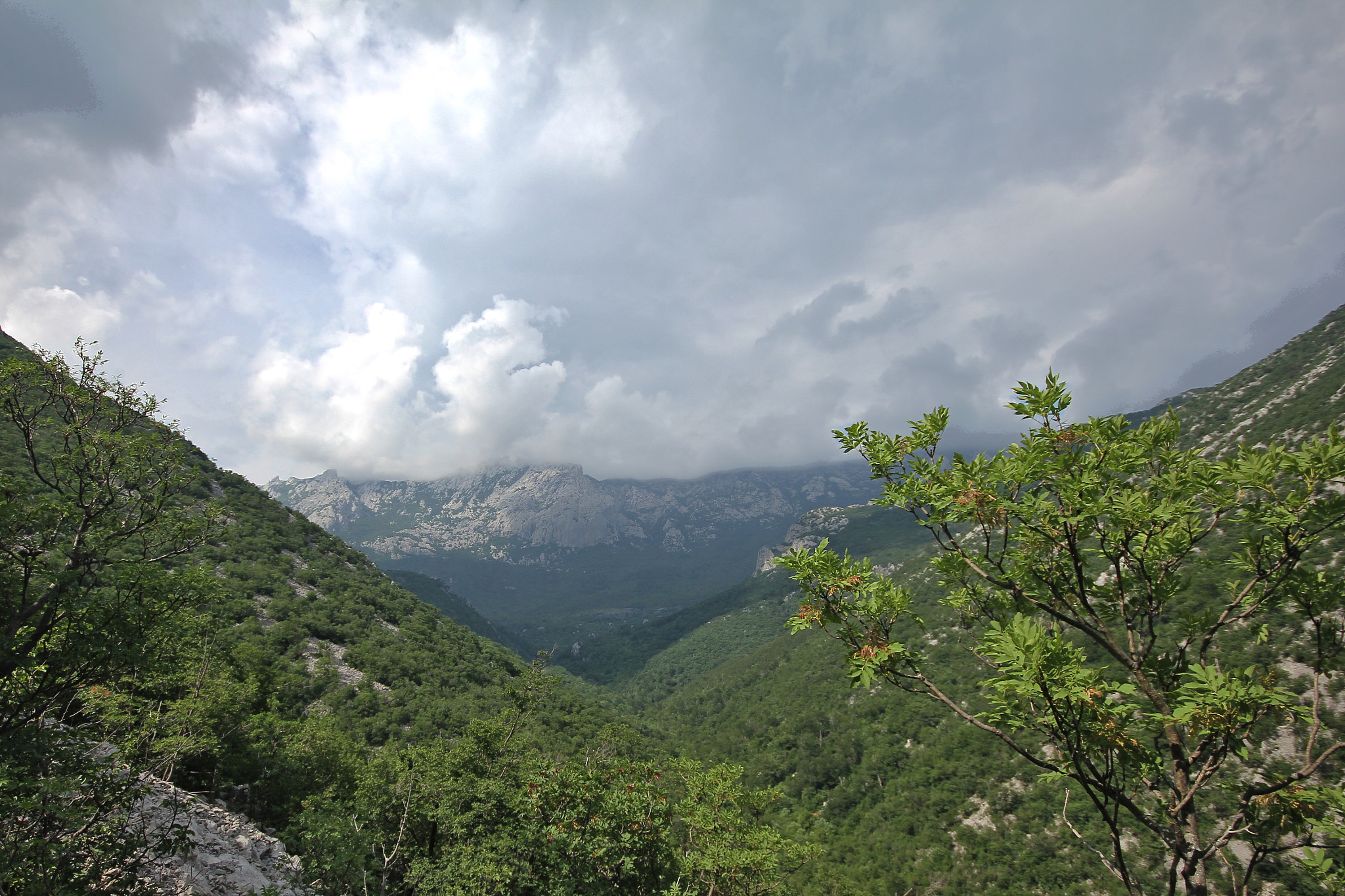 Sigma 10-20mm F4-5.6 EX DC HSM sample photo. Img photography