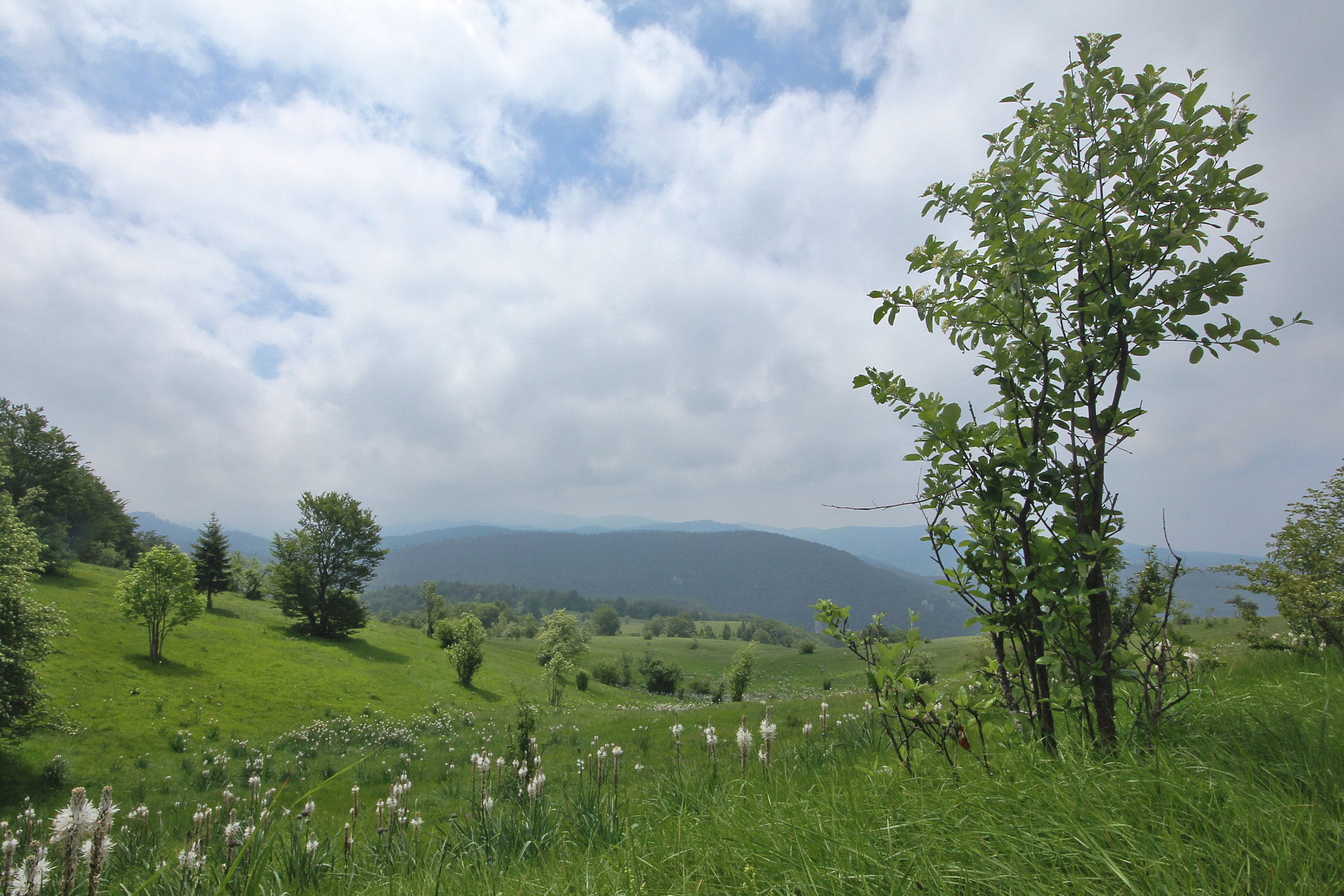 Sigma 10-20mm F4-5.6 EX DC HSM sample photo. Long way photography