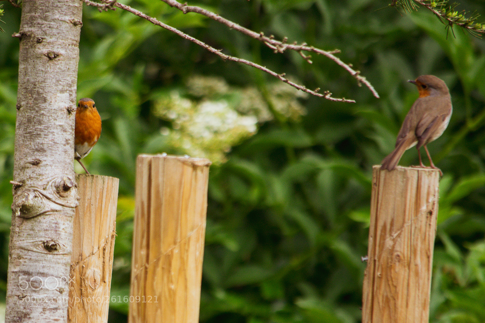 Nikon D3300 sample photo. Nikon d3300 photography