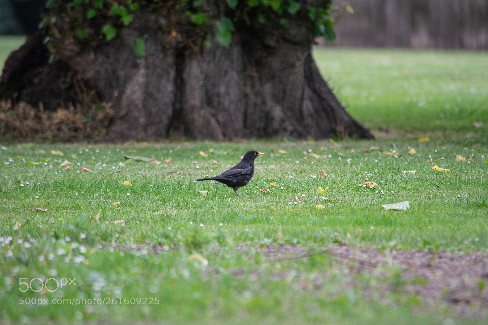 Nikon D3300 sample photo. Nikon d3300 photography
