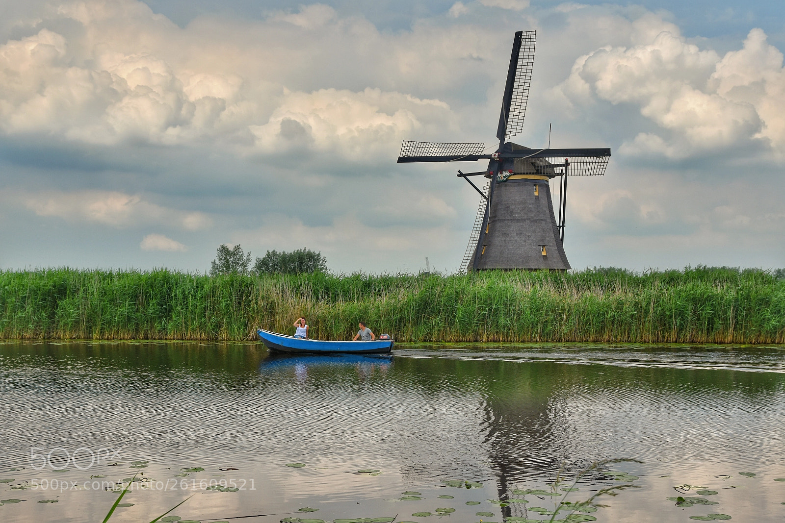 Nikon D7200 sample photo. Dutch waterlife photography