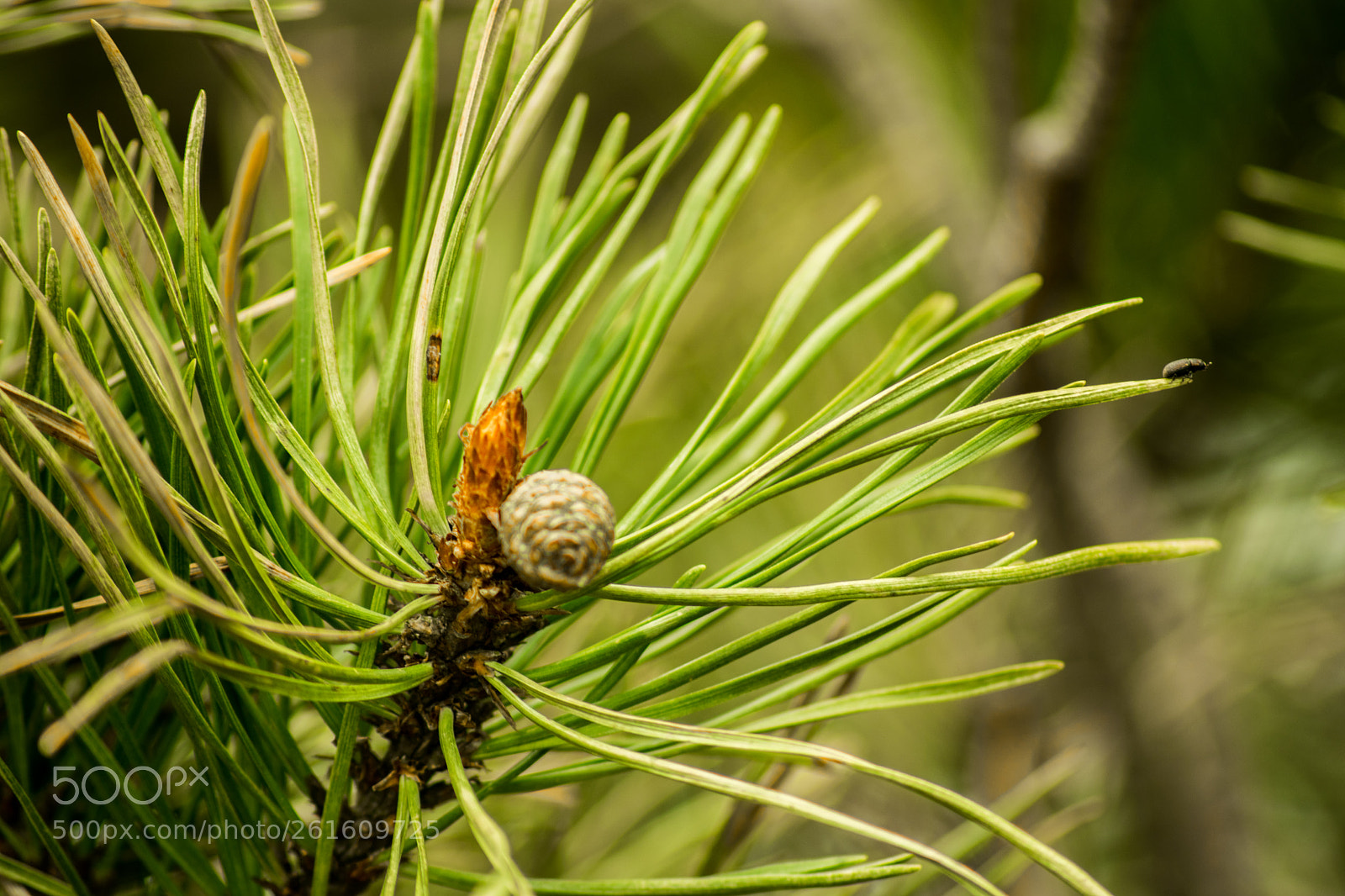 Nikon D3300 sample photo. Untitled photography