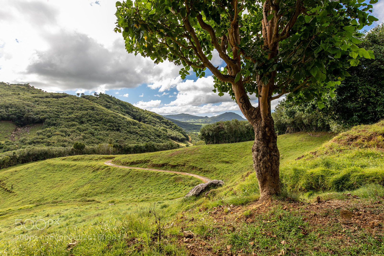 Canon EOS 5D Mark IV sample photo. Domaine de l'etoile, mauritius photography
