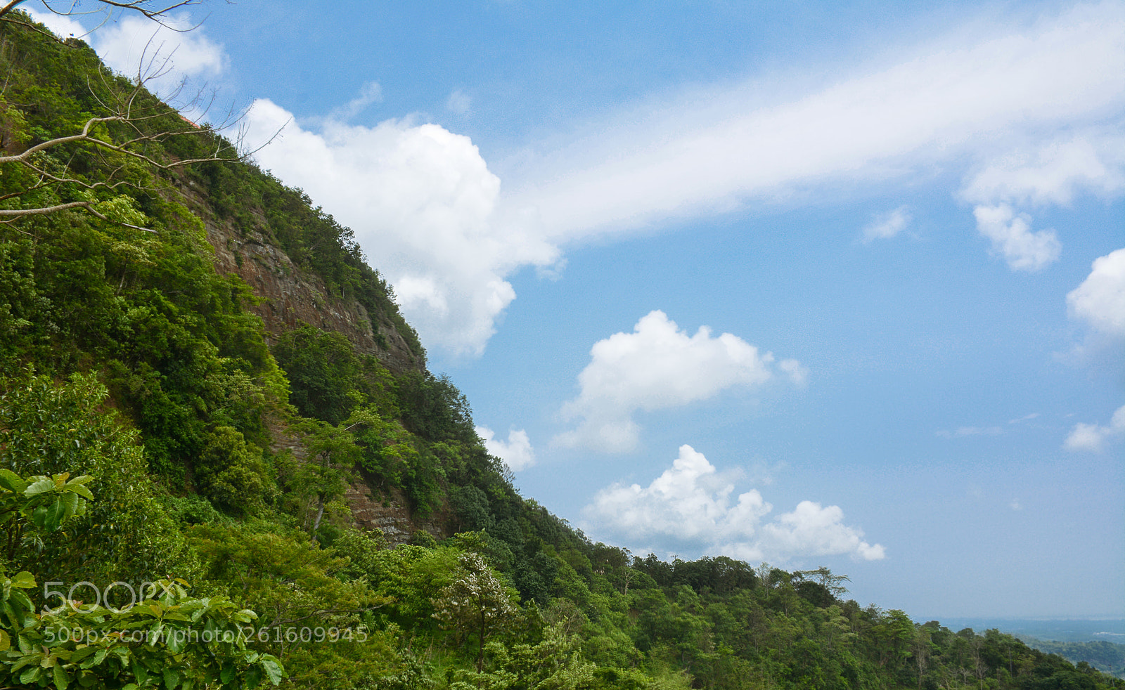 Nikon D7100 sample photo. The natural curves photography