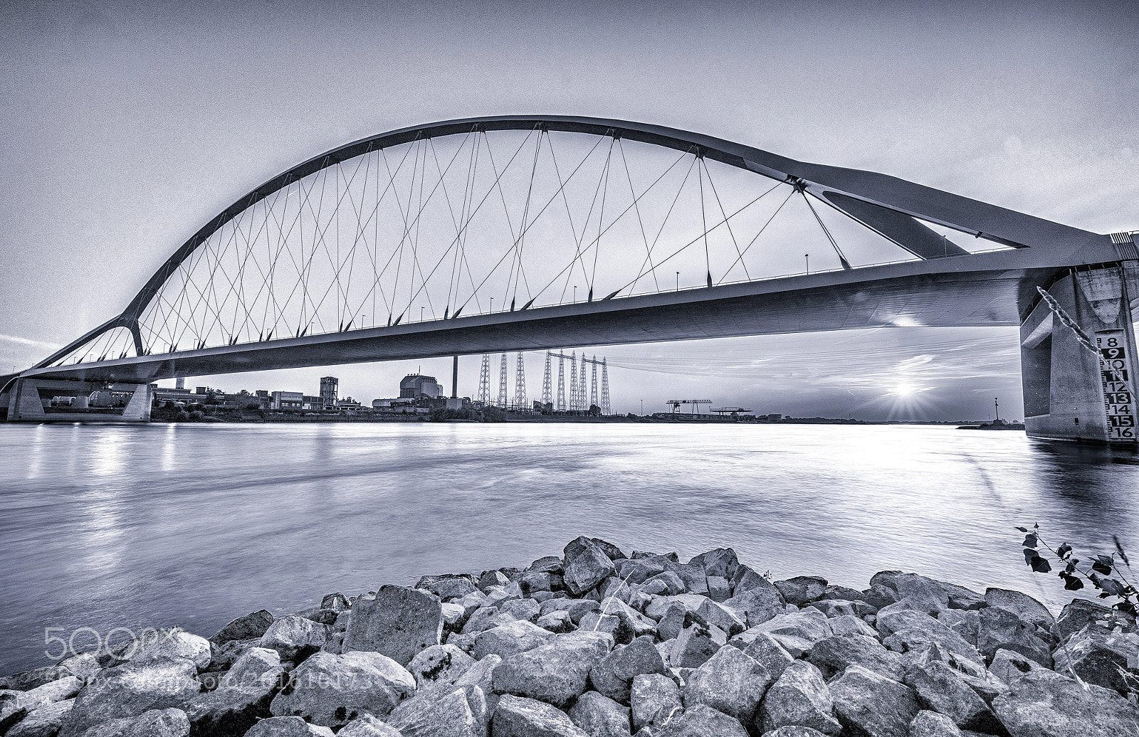 Nikon D810 sample photo. De oversteek nijmegen in photography