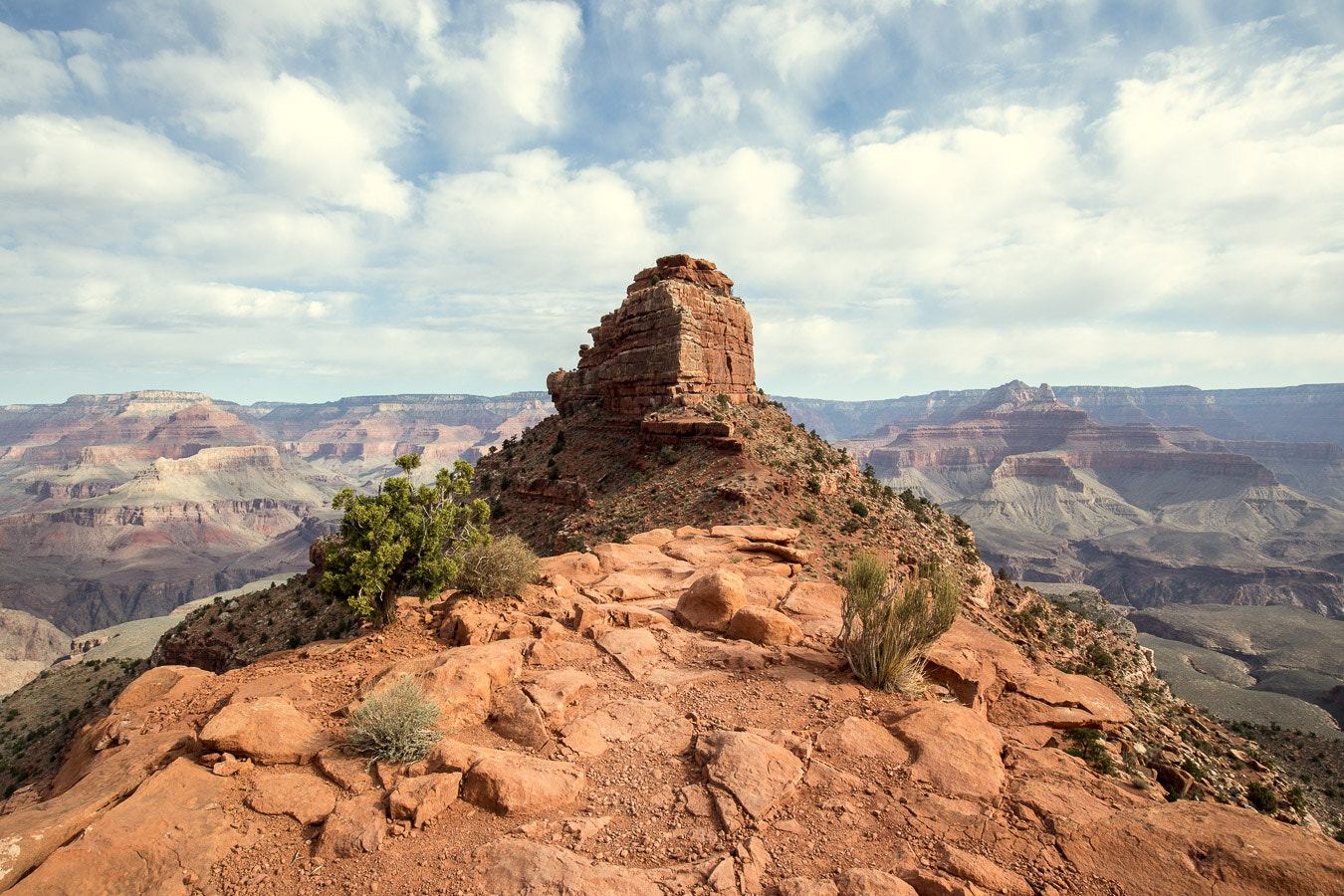 Canon EOS M5 sample photo. Grand canyon, cedar ridge photography