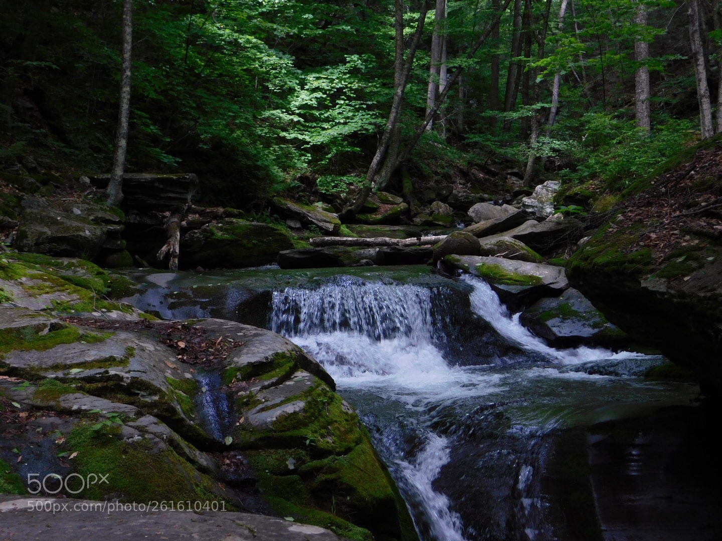 Nikon Coolpix B500 sample photo. The creek -2 photography