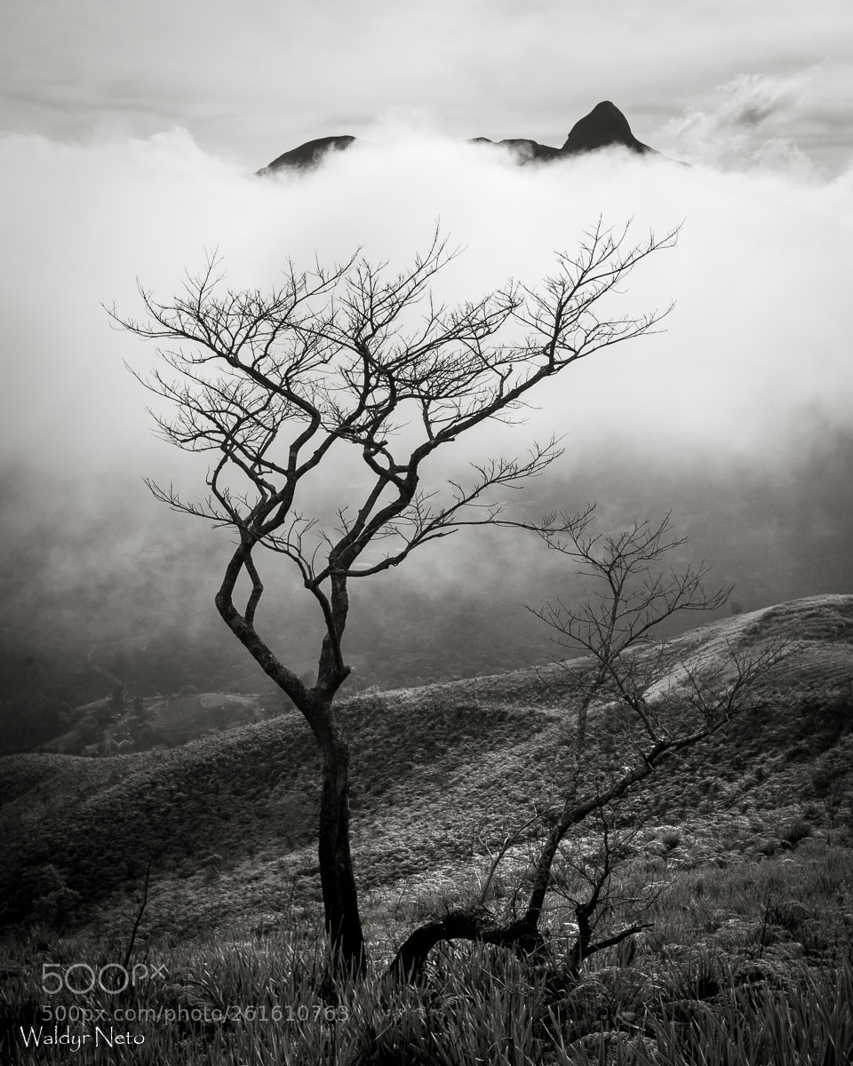 Canon EOS 5D Mark II sample photo. Montanhas de petrópolis photography