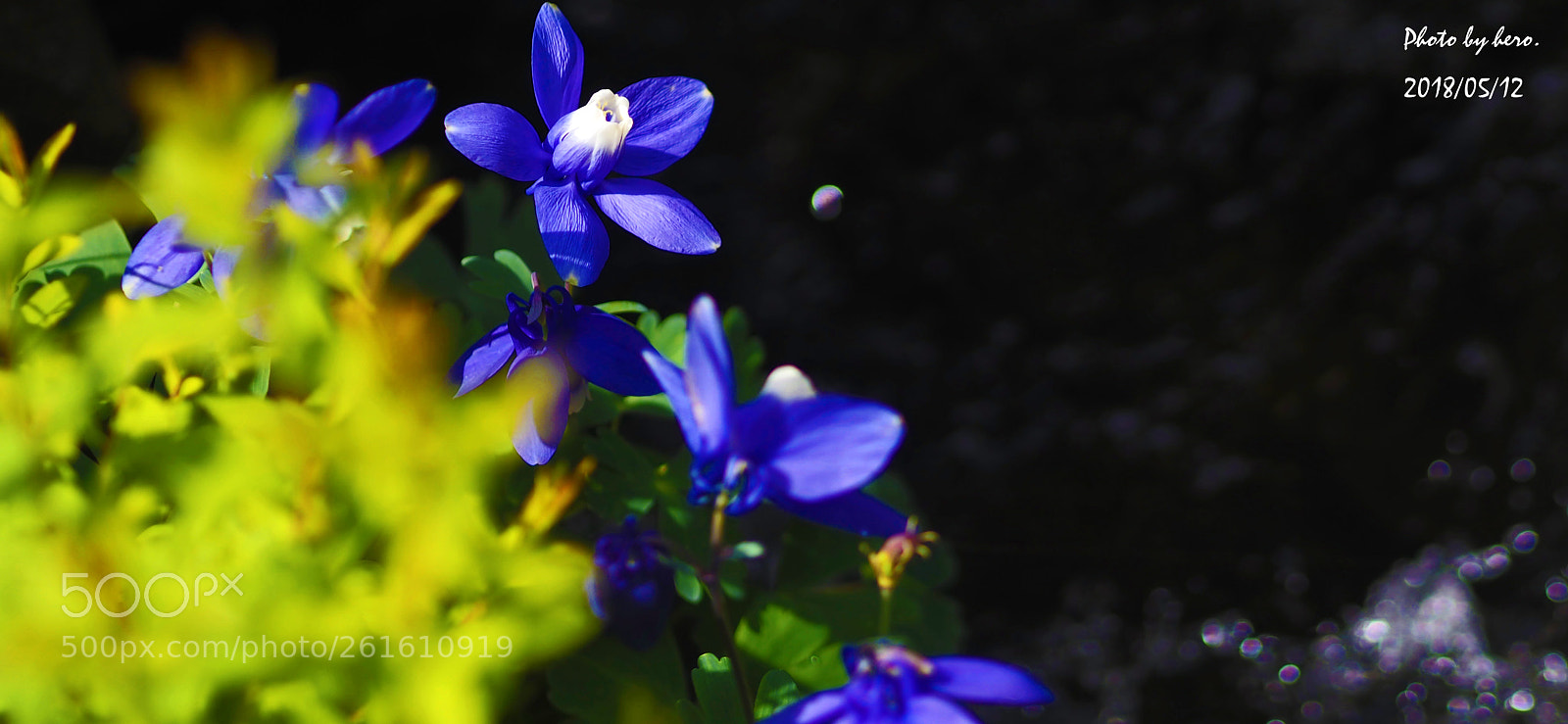 Olympus OM-D E-M10 sample photo. Waterside life photography