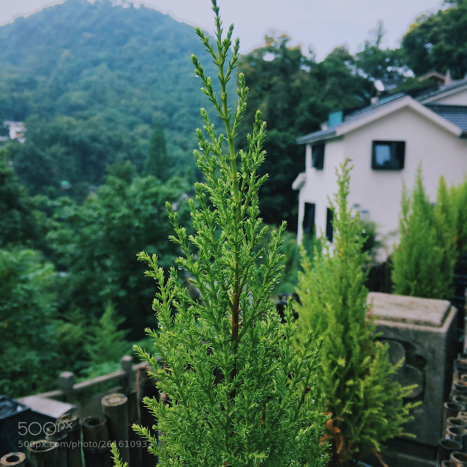 Apple iPhone 6s sample photo. 小山舍 photography