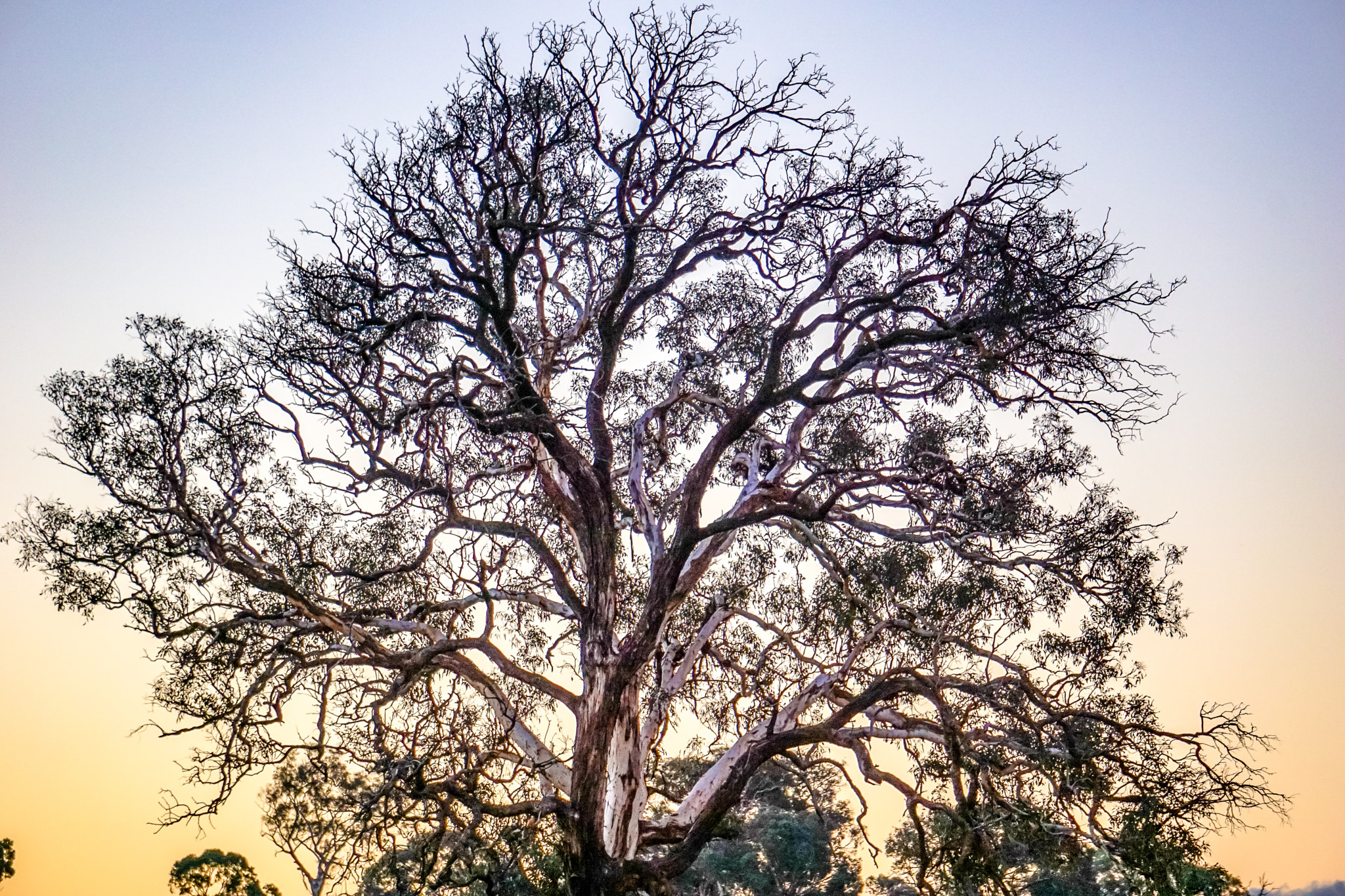 Sony a5100 sample photo. Gumtree photography