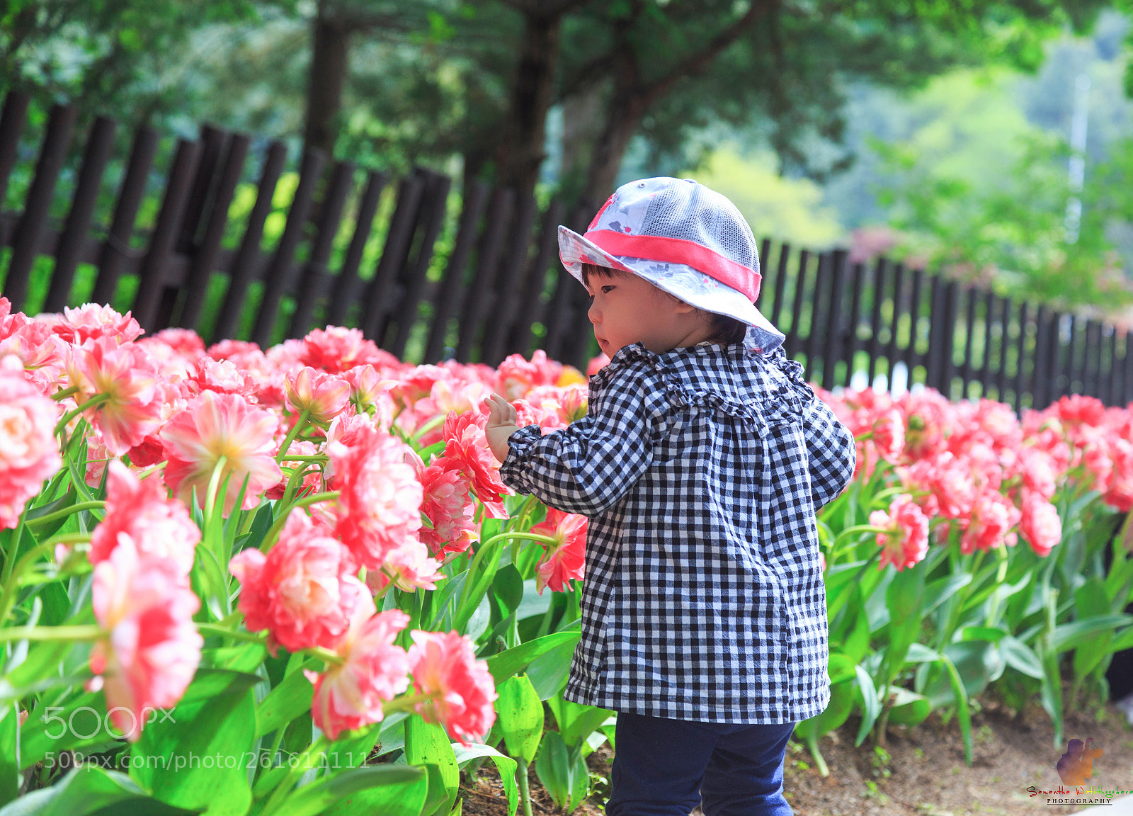 Canon EOS 6D sample photo. @samantha waththegedara photography