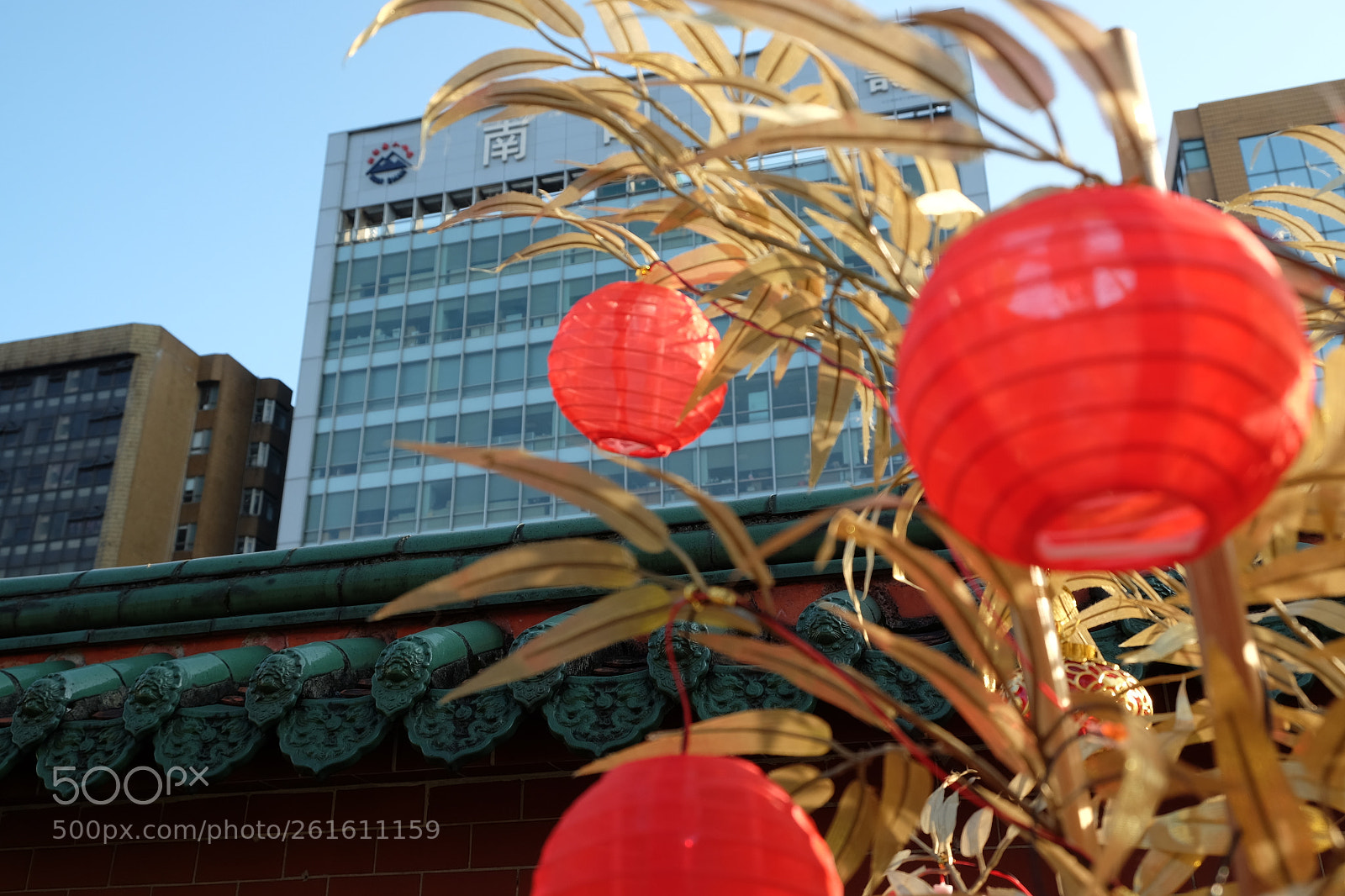 Fujifilm X-T10 sample photo. 小燈籠 photography