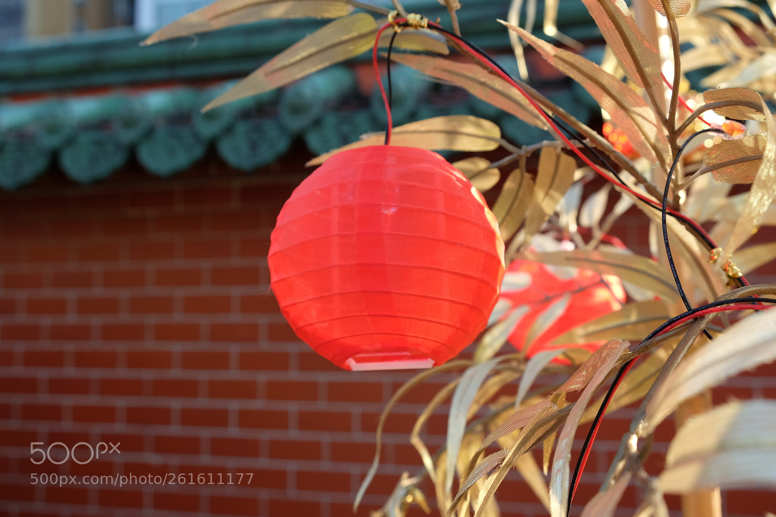 Fujifilm X-T10 sample photo. A tiny red lantern photography