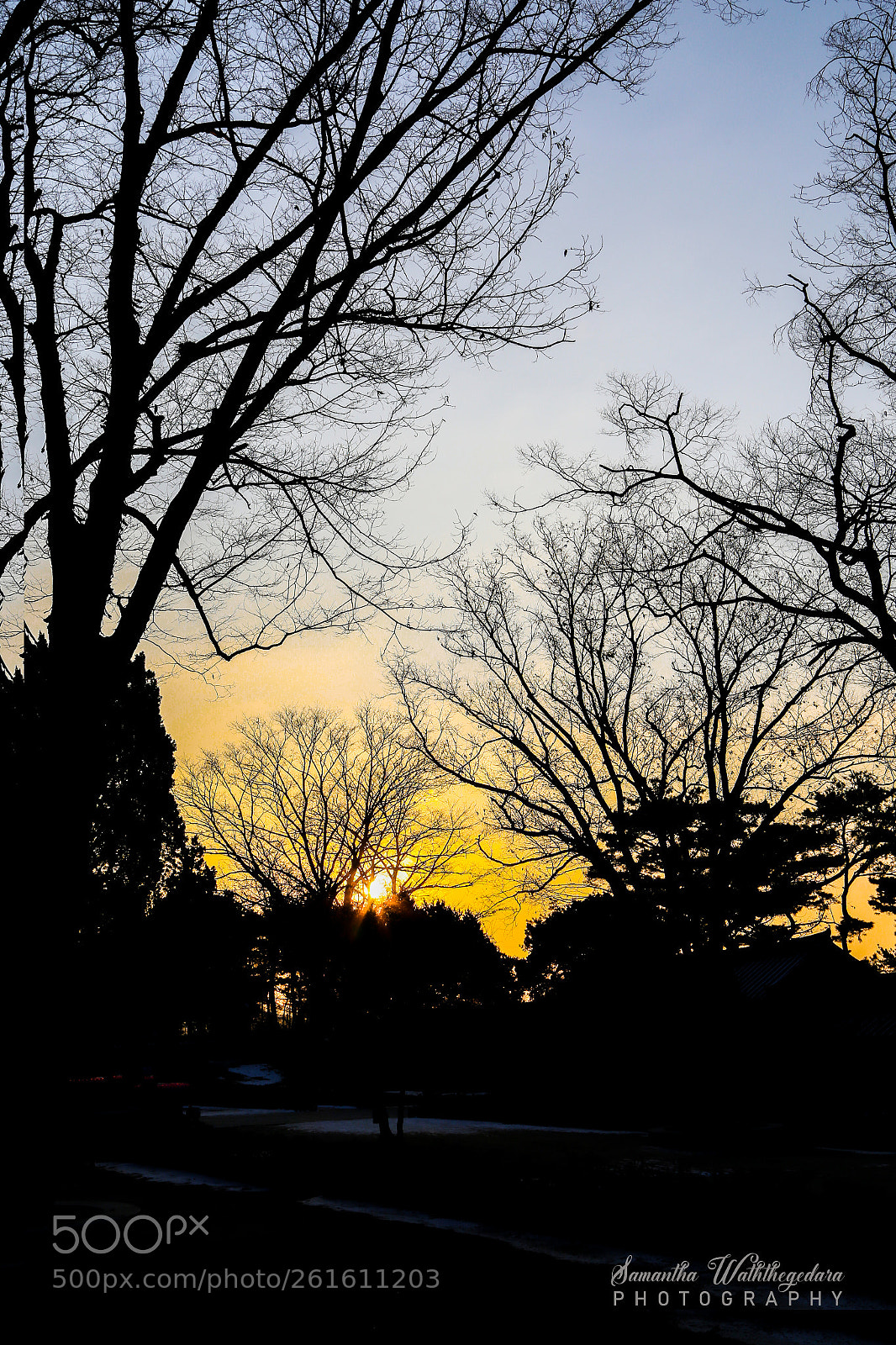 Canon EOS 6D sample photo. Img photography