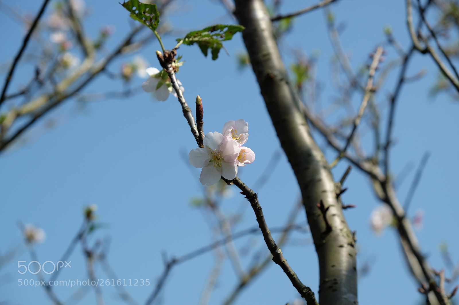 Fujifilm X-T10 sample photo. ? photography