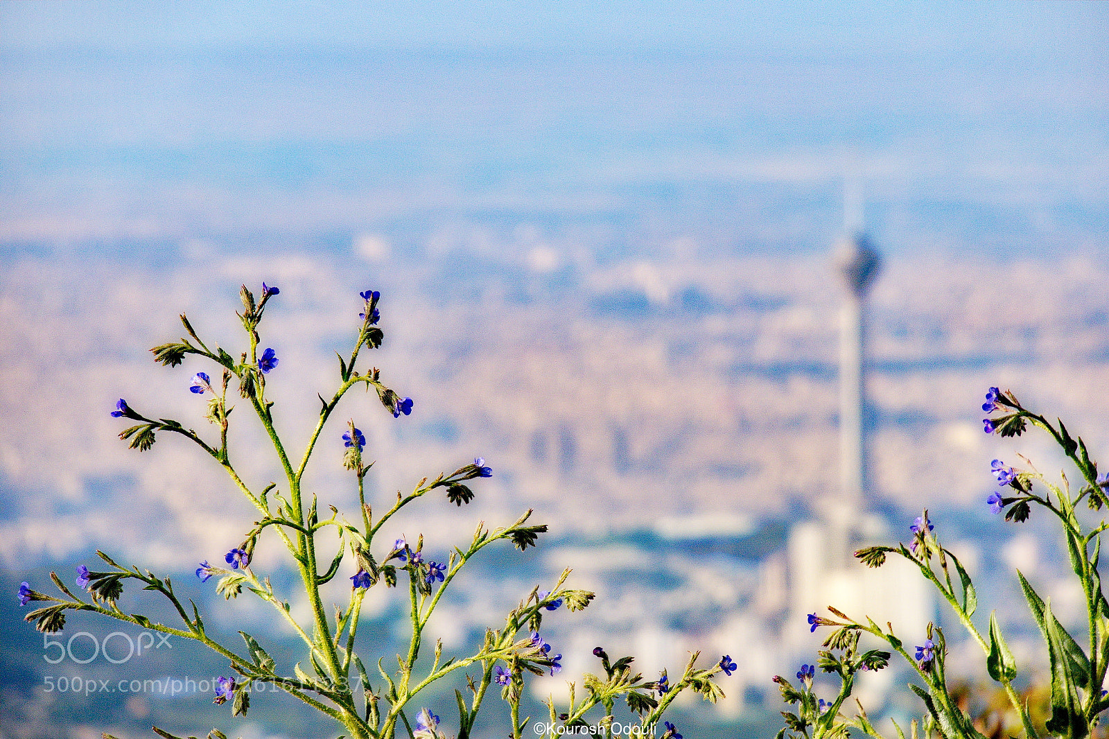 Canon PowerShot G3 X sample photo. Spring in tochal, tehran. photography