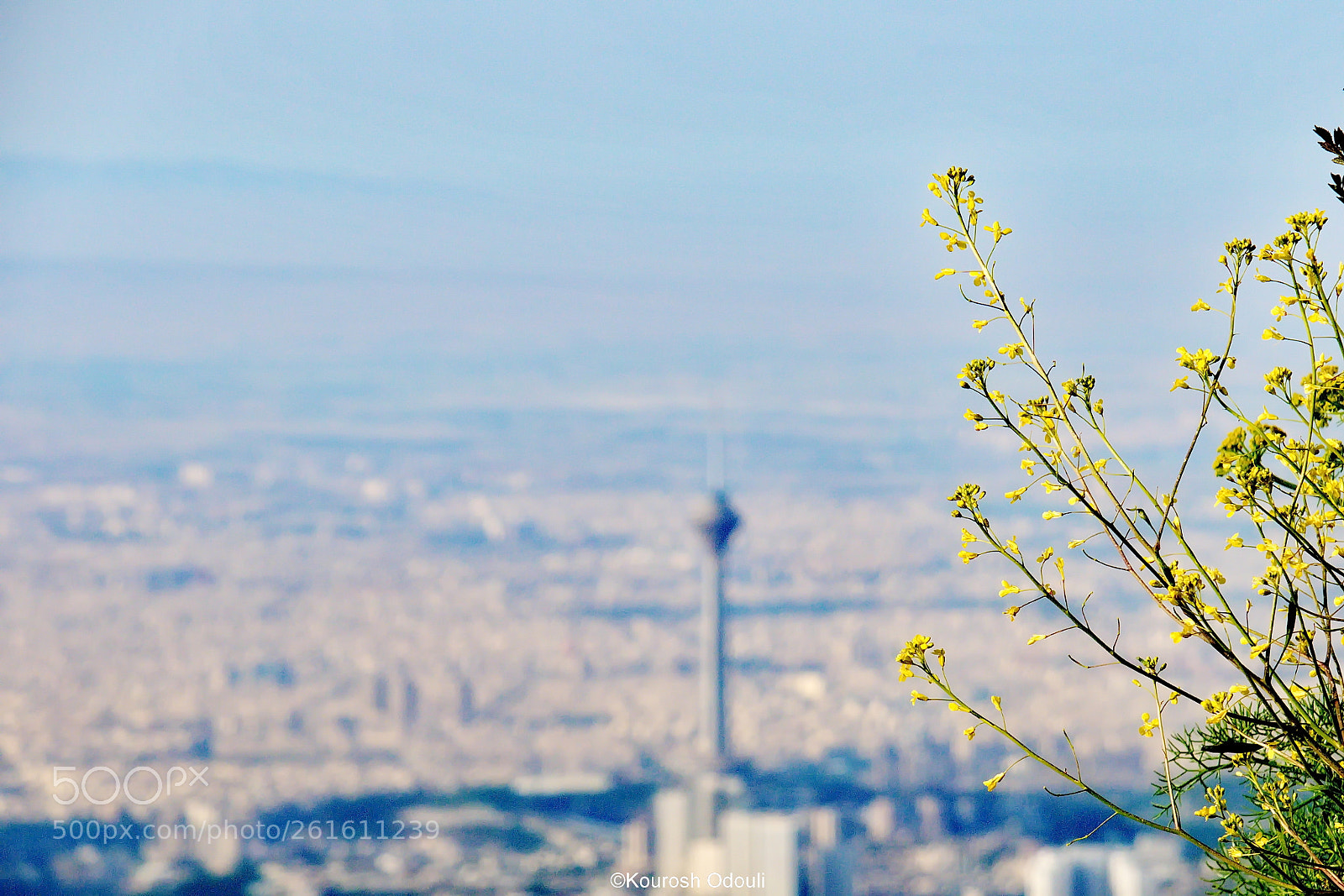 Canon PowerShot G3 X sample photo. Spring in tochal, tehran. photography