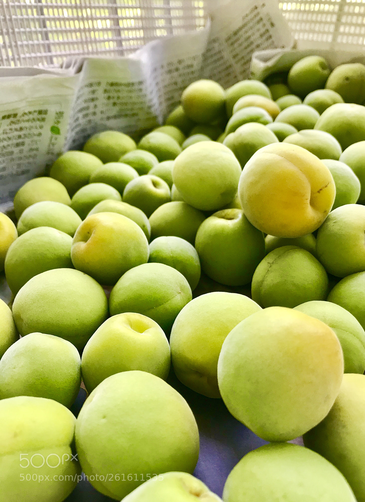 Apple iPhone 7 sample photo. Untitled photography