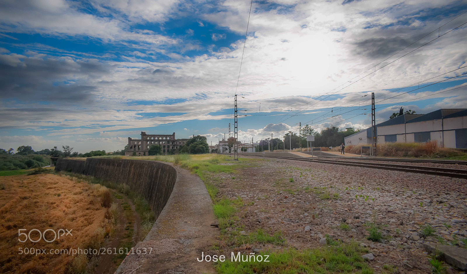 Nikon D3300 sample photo. Tardes photography
