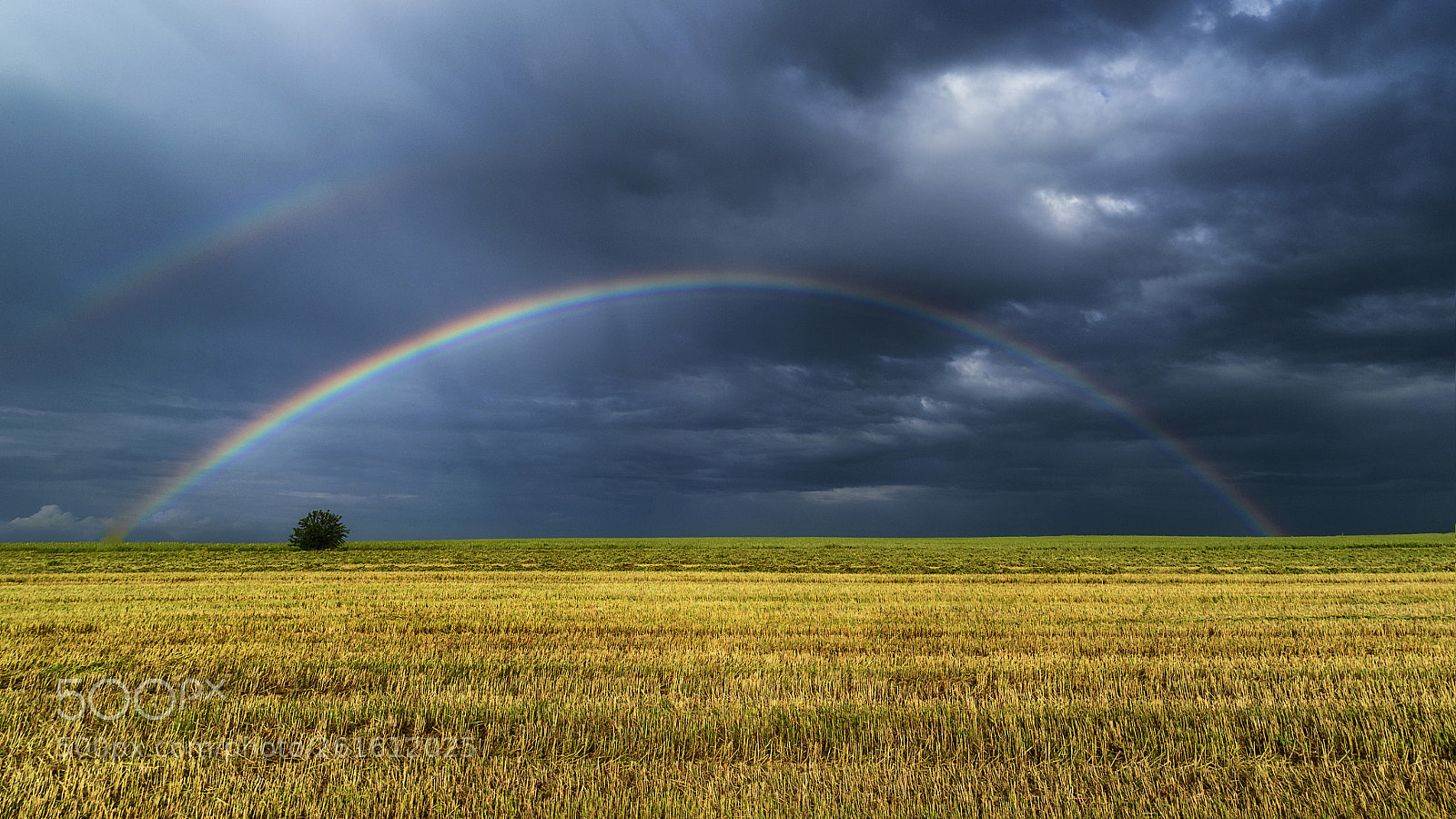 Nikon D750 sample photo. Under the rainbow photography