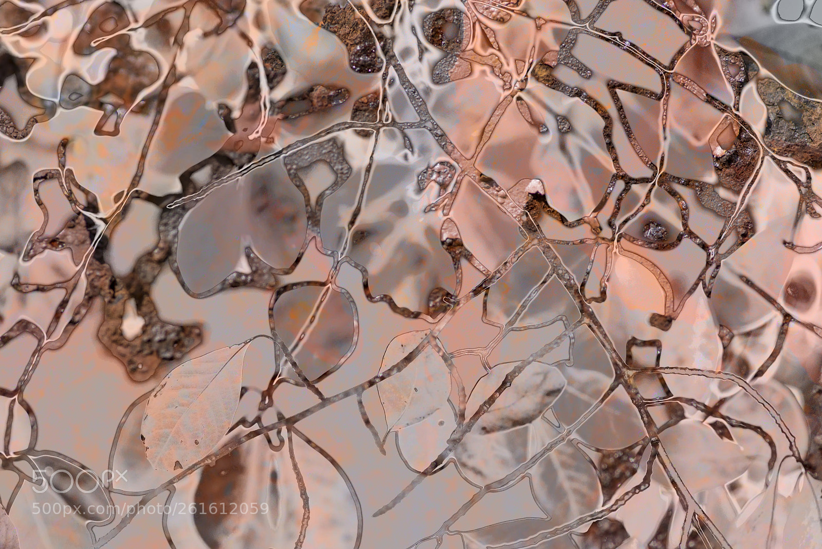 Nikon D600 sample photo. Rusty leaves photography