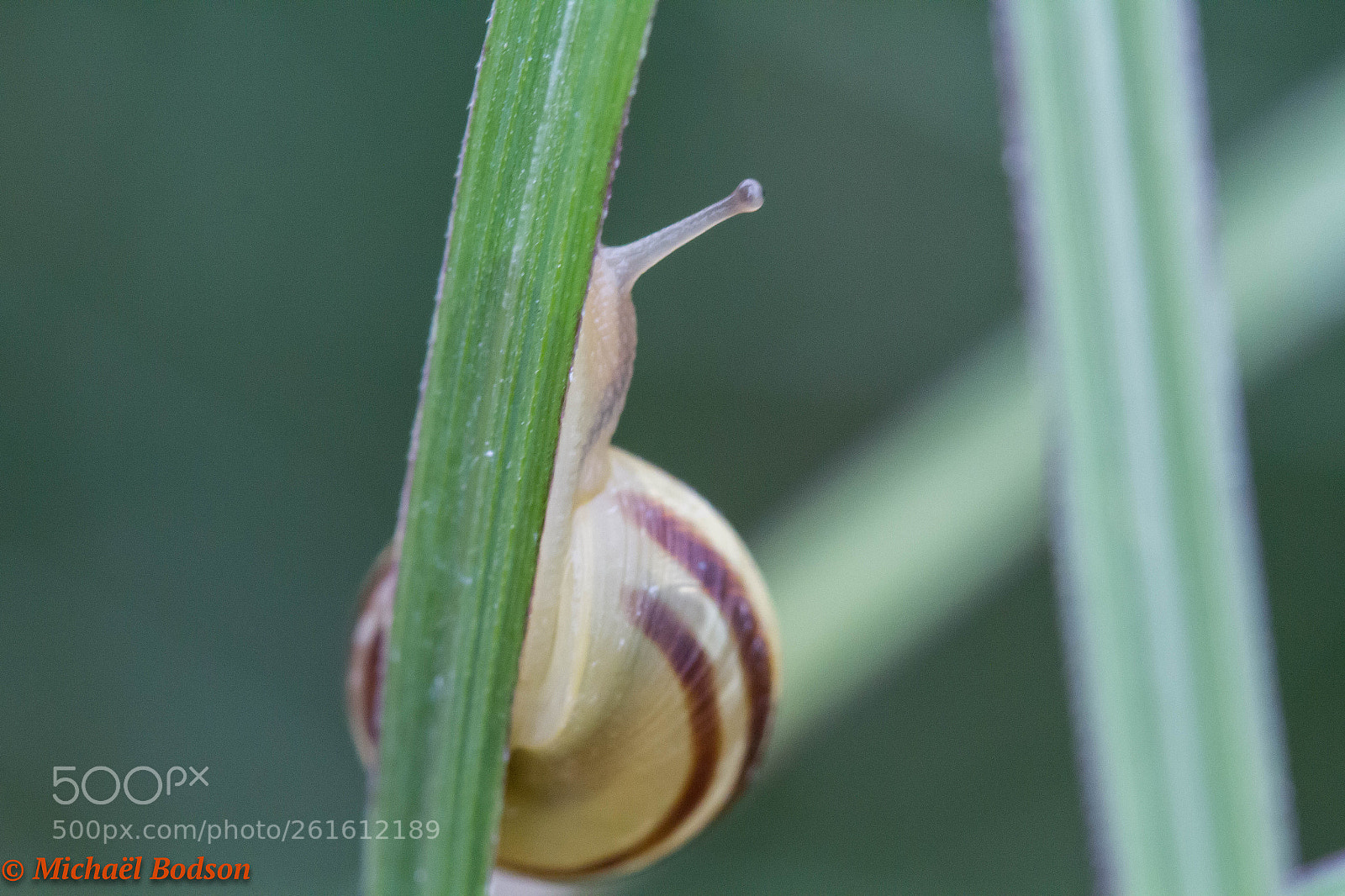 Canon EOS 7D sample photo. Le monde d'en bas photography