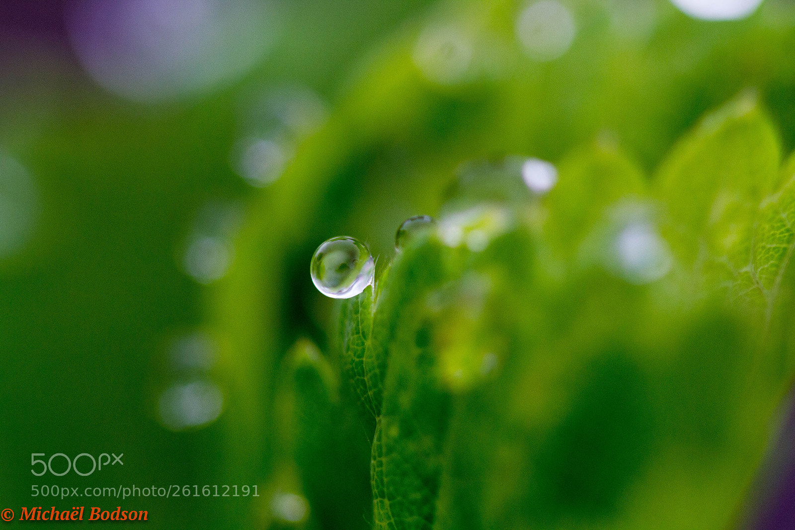 Canon EOS 7D sample photo. Le monde d'en bas photography