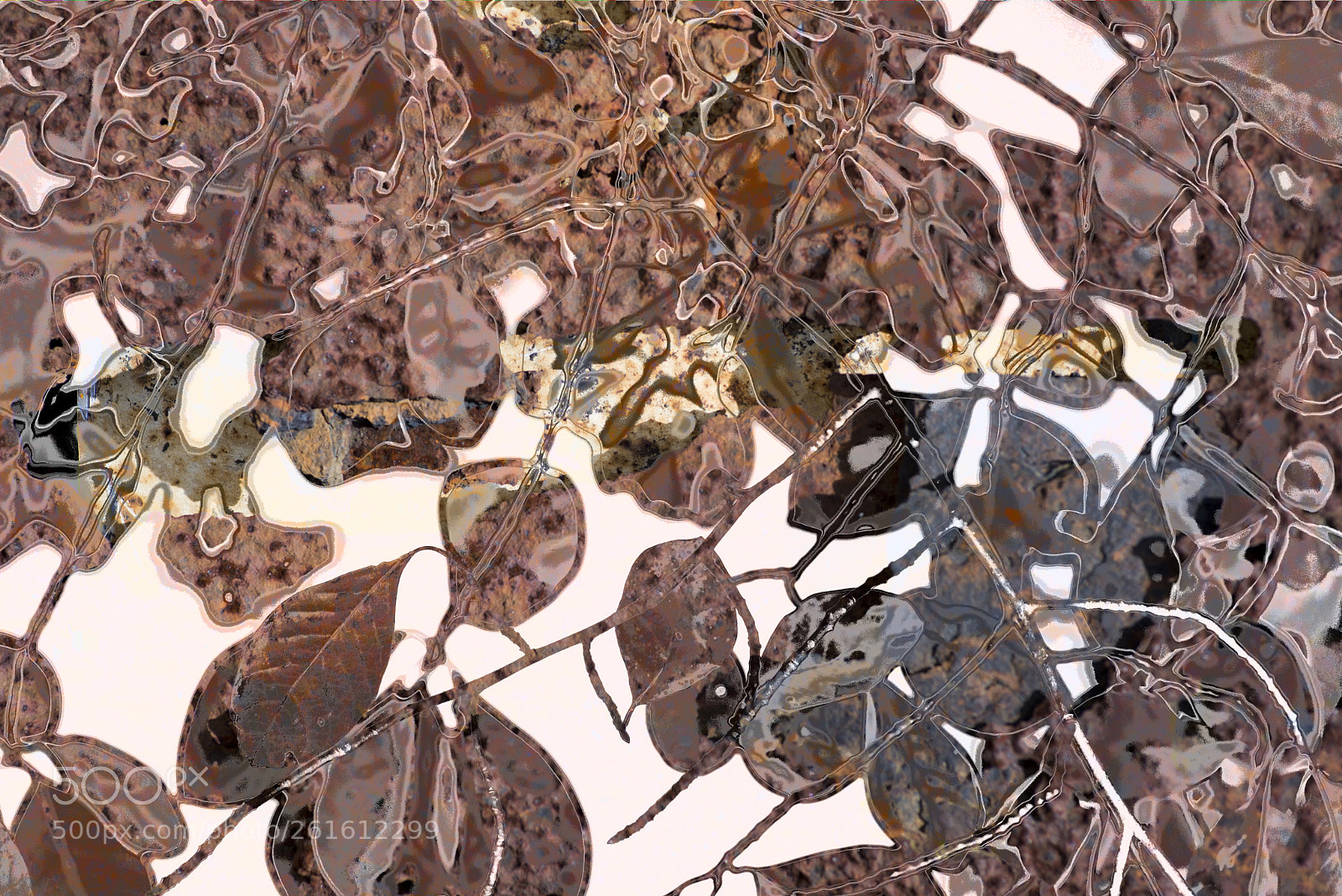 Nikon D600 sample photo. Rusty leaves 2 photography