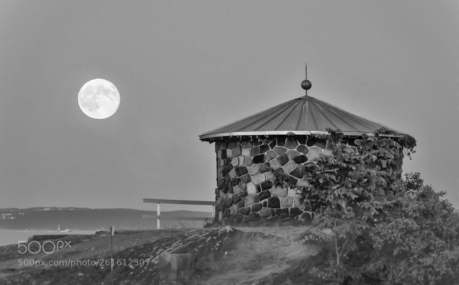 Nikon D850 sample photo. Moon photography
