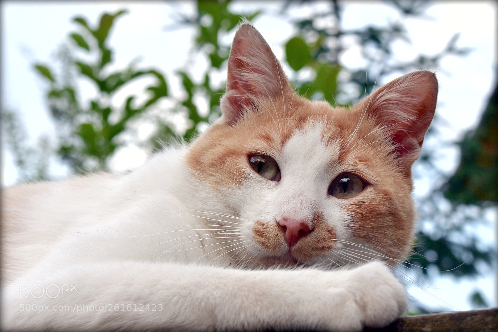 Nikon D3400 sample photo. Untitled photography