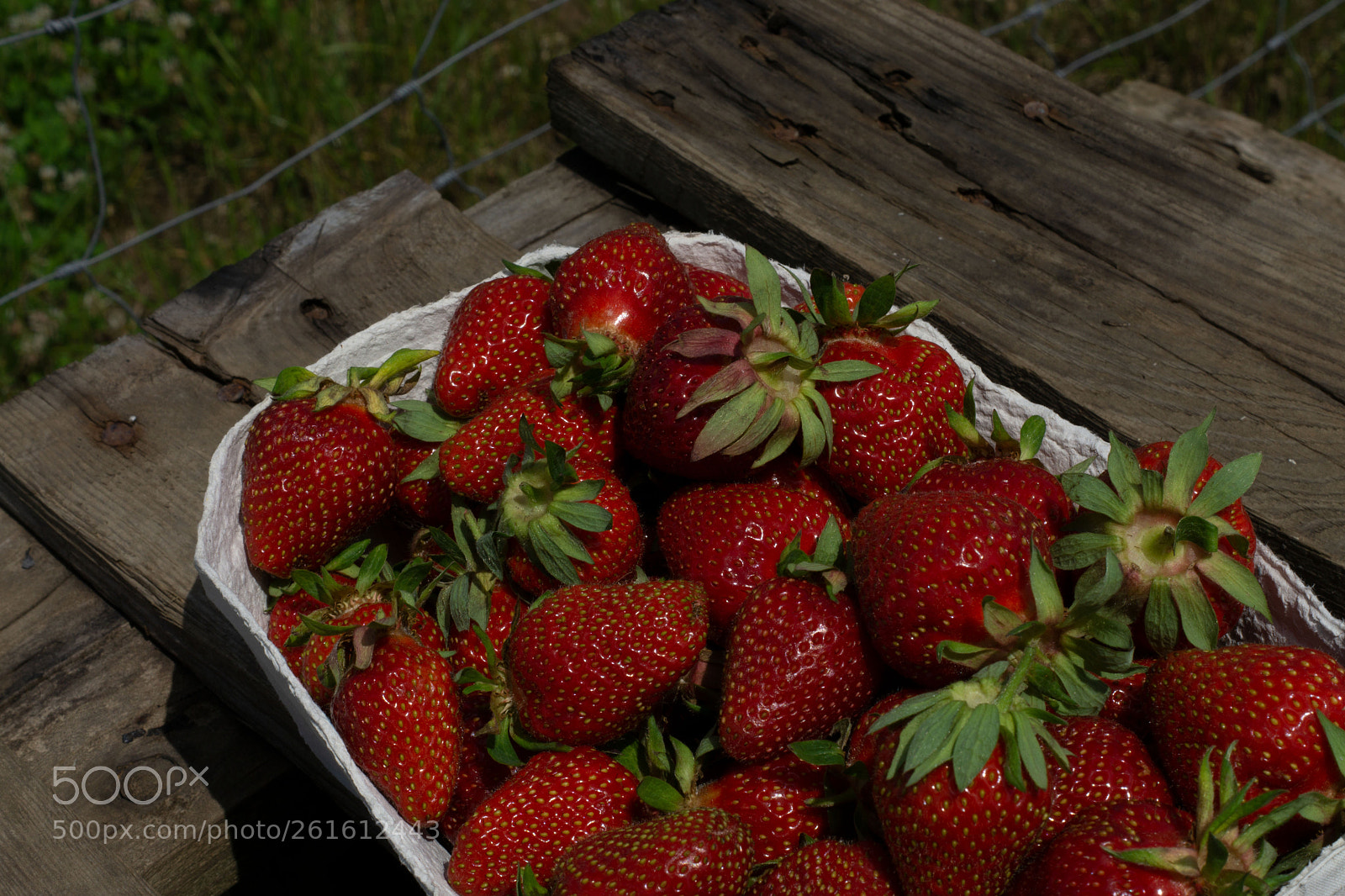 Sony a6000 sample photo. Lecker sagt der rheinl photography