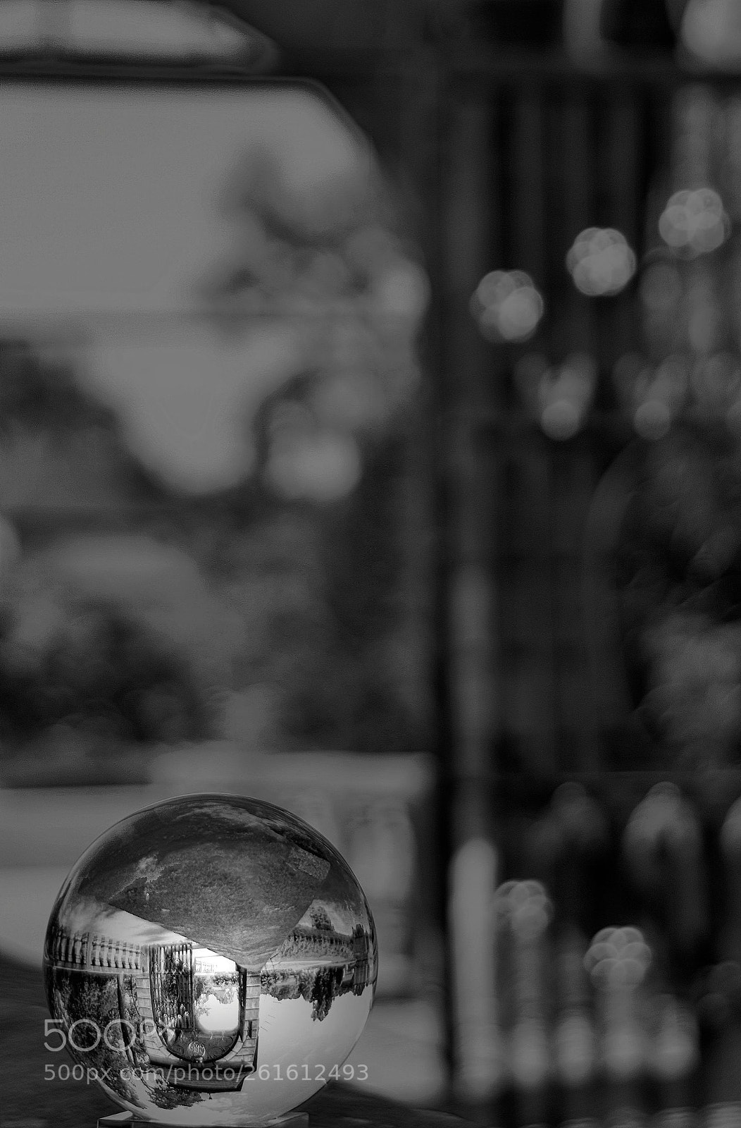Nikon D500 sample photo. Schloss dyck || photography