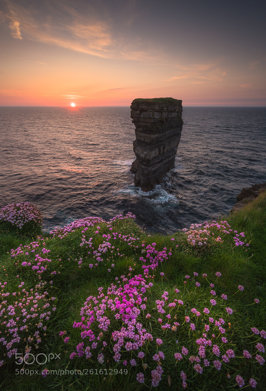 Nikon D810 sample photo. Downpatrick head photography