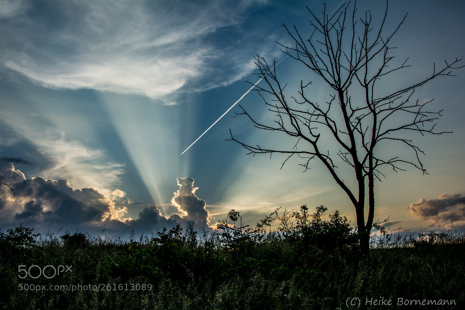 Nikon D5200 sample photo. Abendstimmung photography