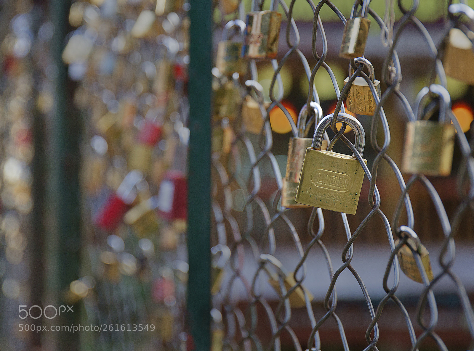 Canon EOS 6D sample photo. Locked on photography