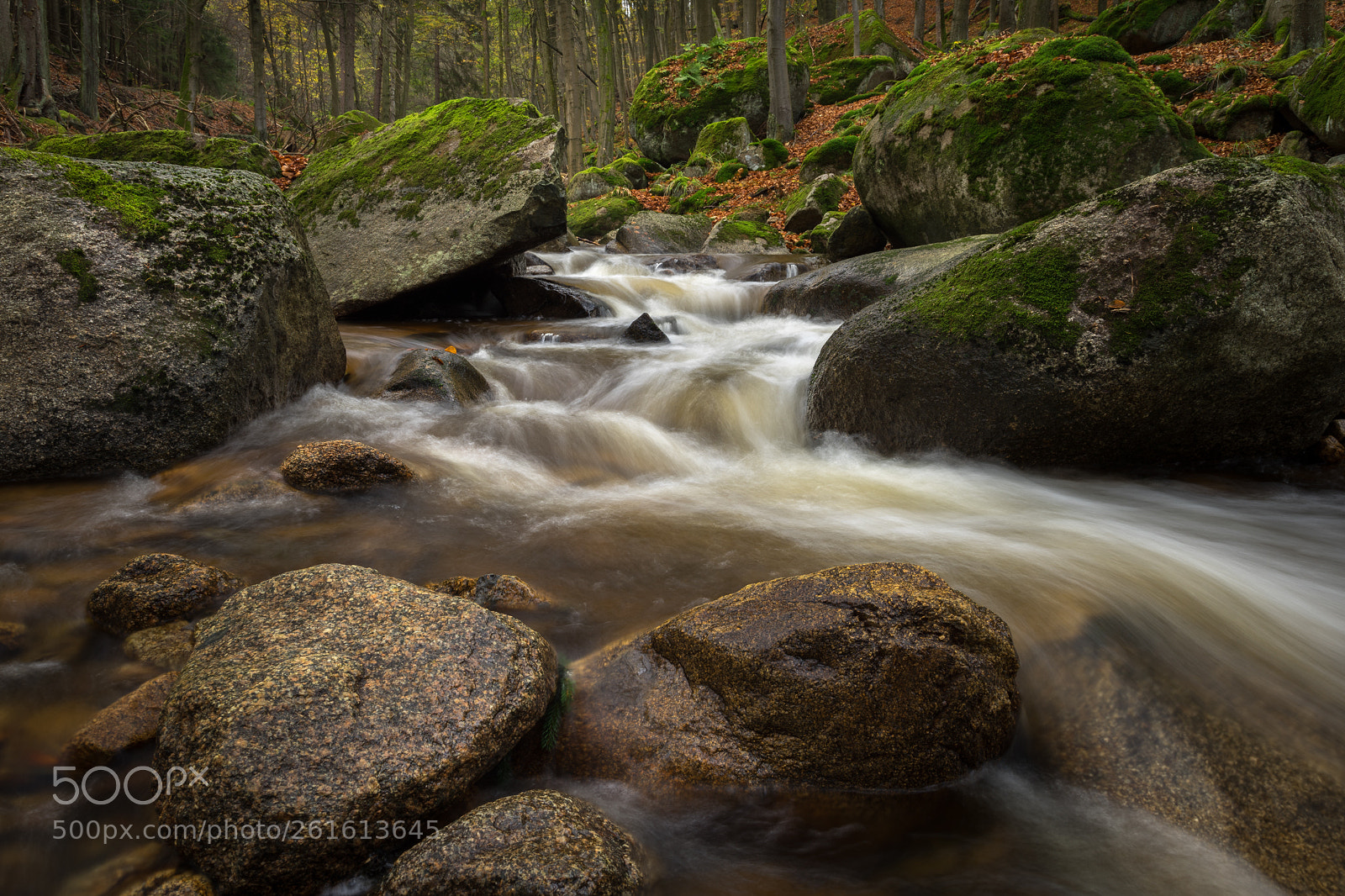Sony a7 II sample photo. Ilsetal | ilsenburg, germany photography