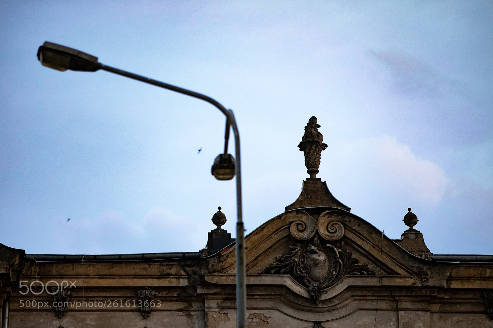 Canon EOS 5D Mark IV sample photo. Untitled photography