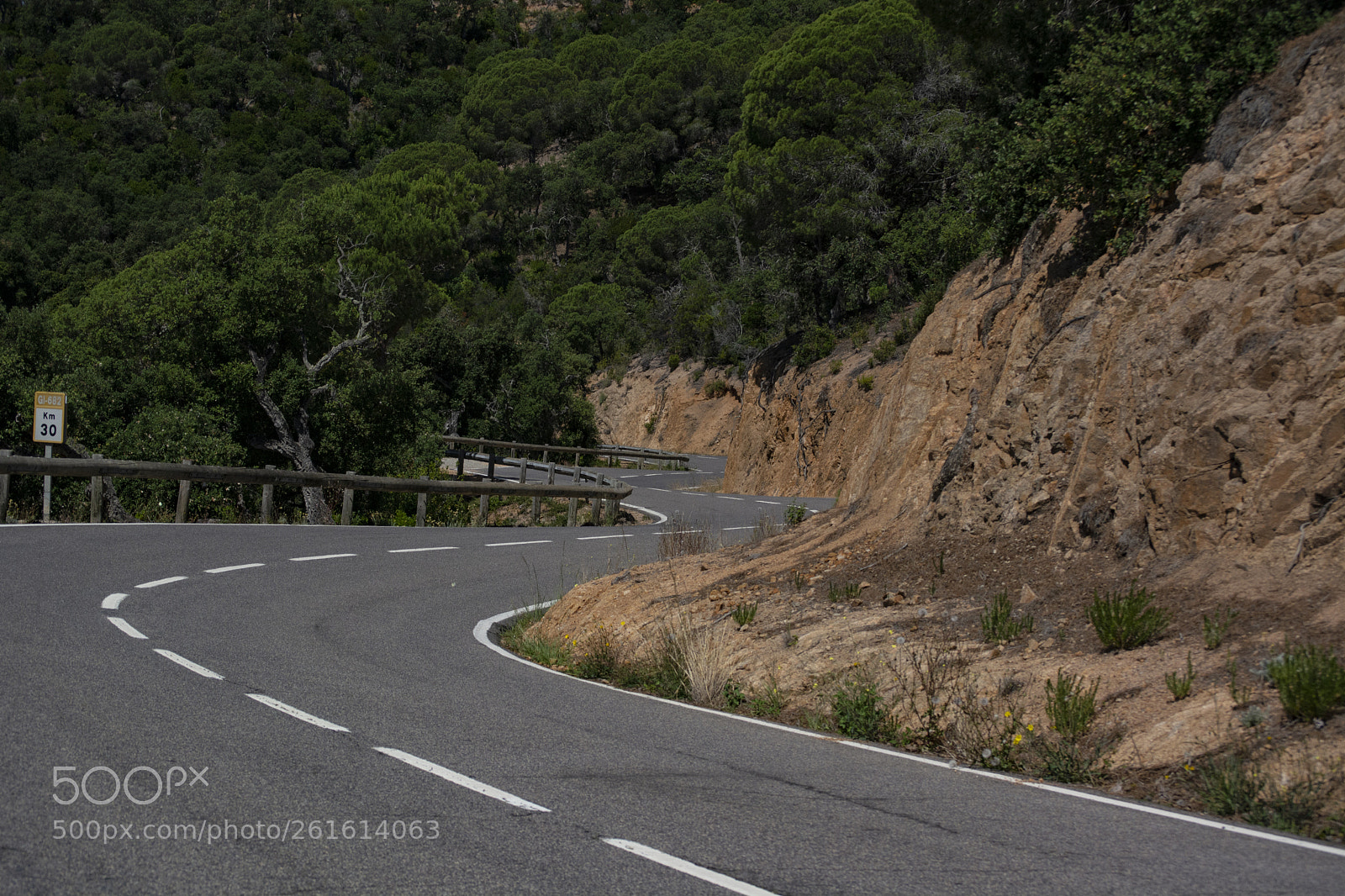 Nikon D5200 sample photo. Asphalt snake photography