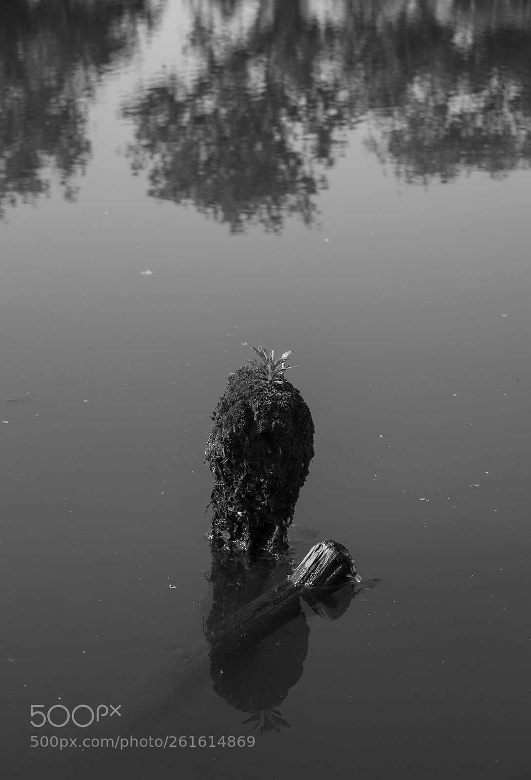 Canon EOS 5D sample photo. Isolated photography