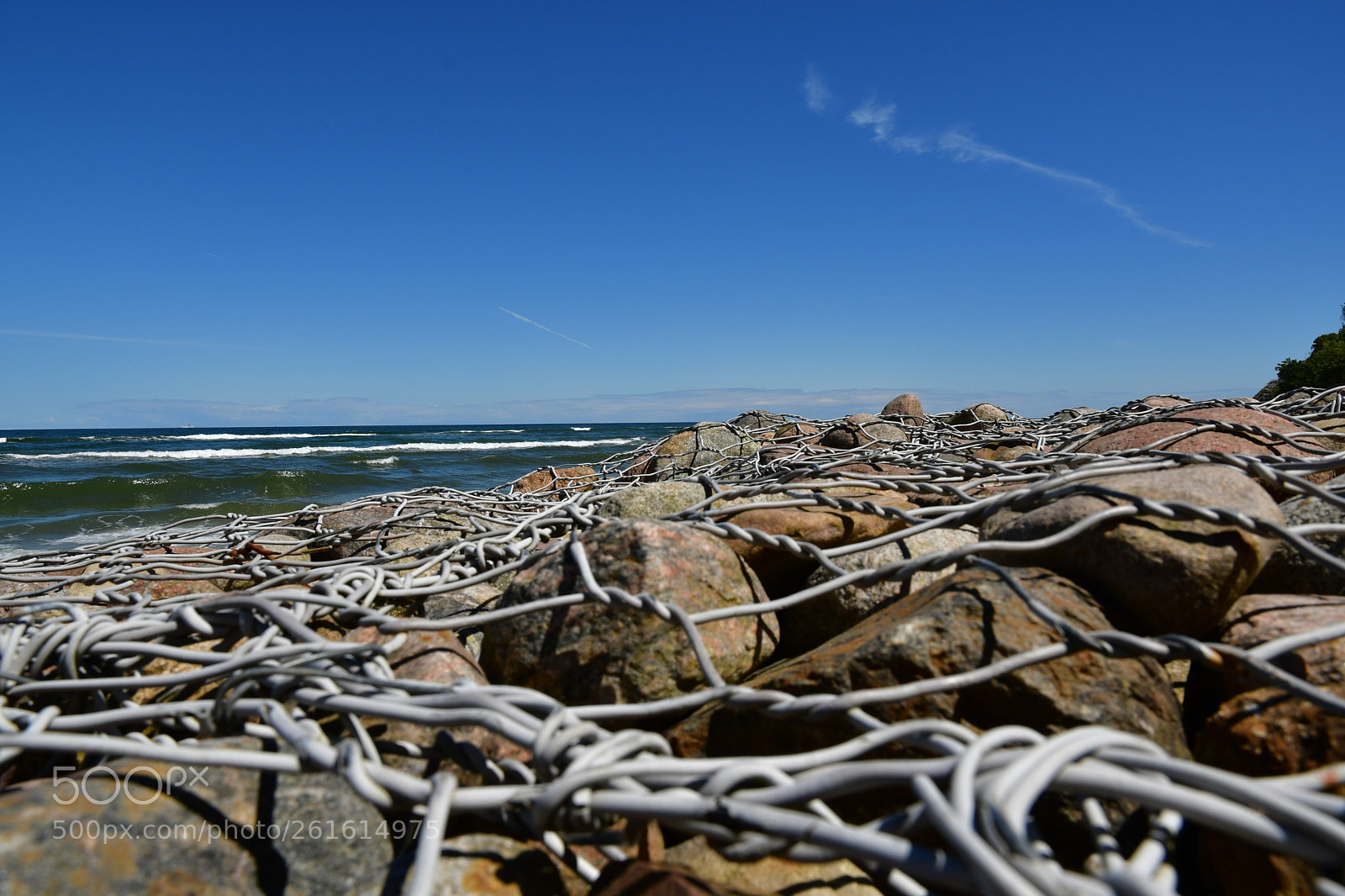 Nikon D500 sample photo. Summer impressions from jastrzebia photography