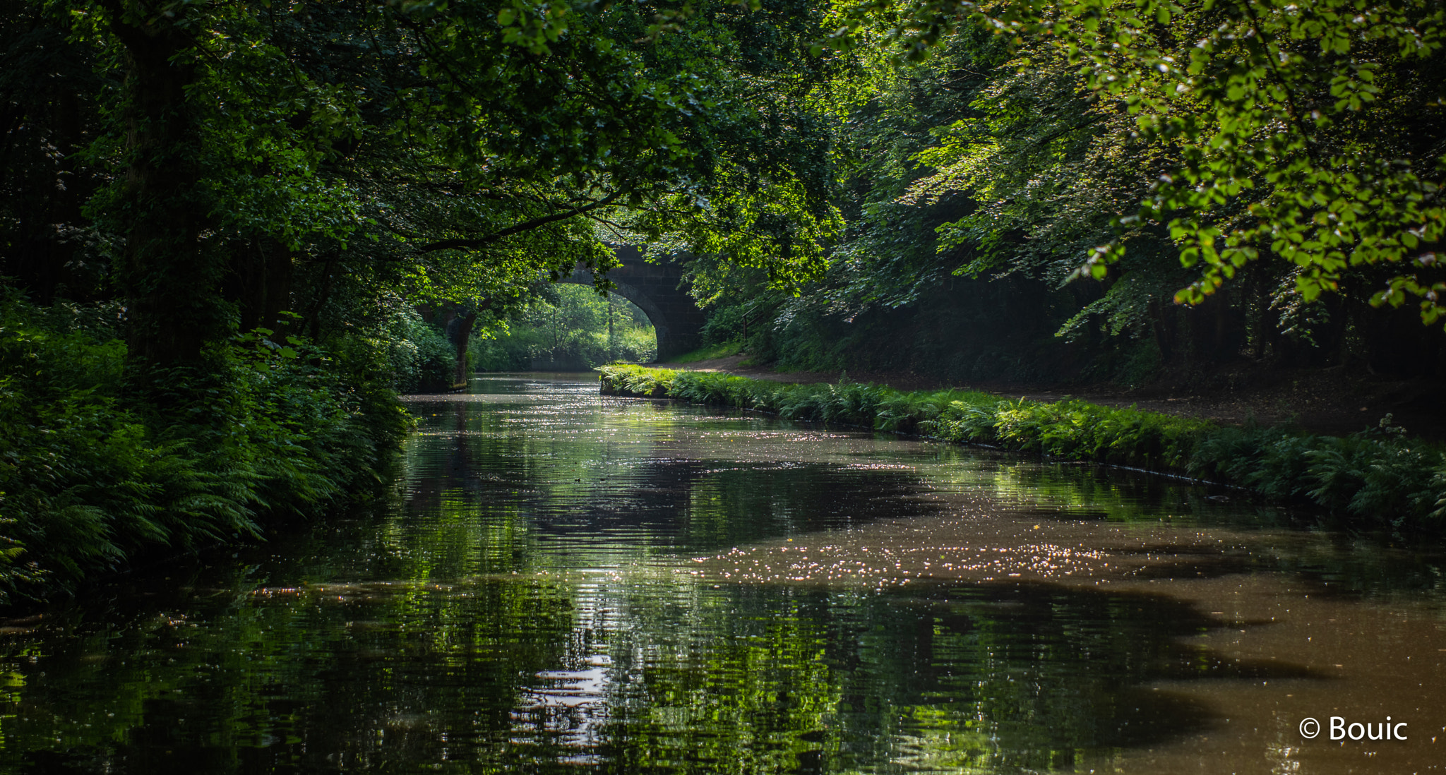 Leica CL sample photo. Summer morning sunlight on the canal photography