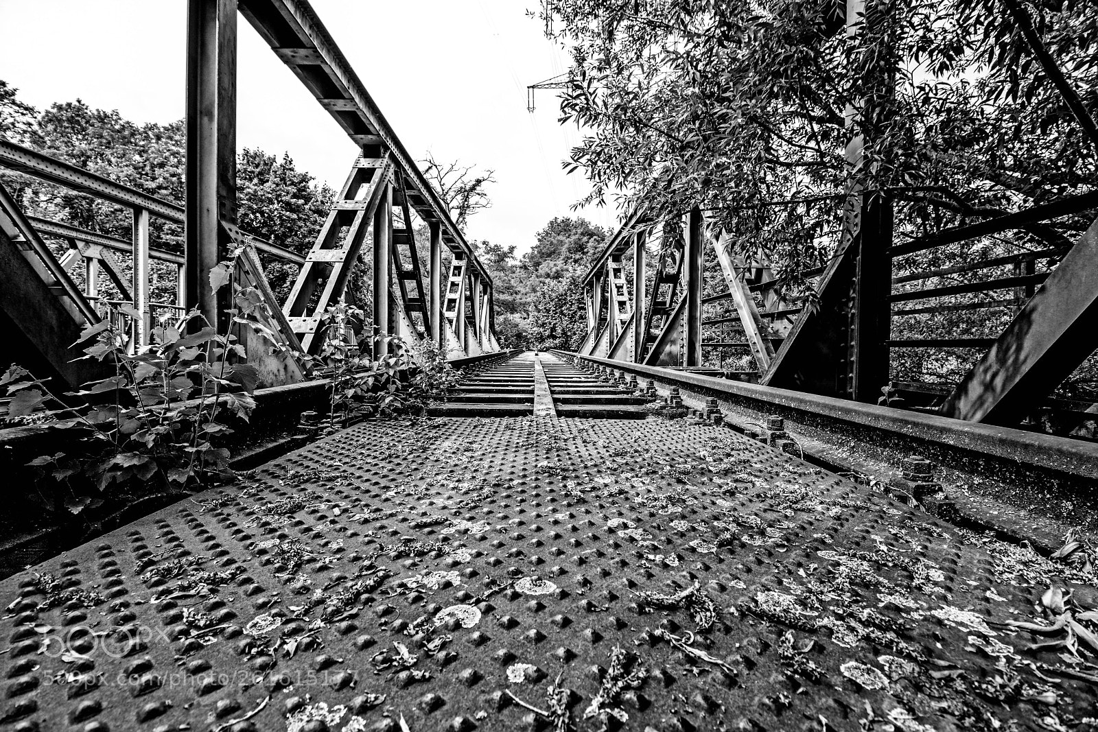 Canon EOS 80D sample photo. Abandoned railway track iv photography