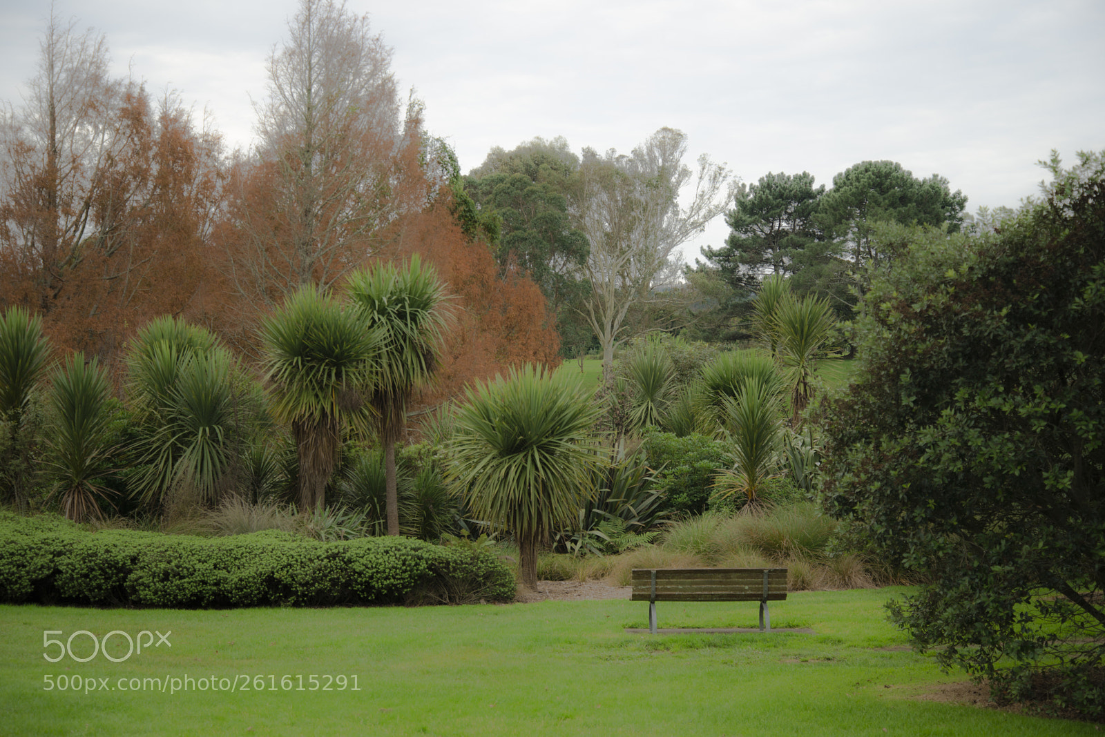 Nikon D610 sample photo. Calmness photography