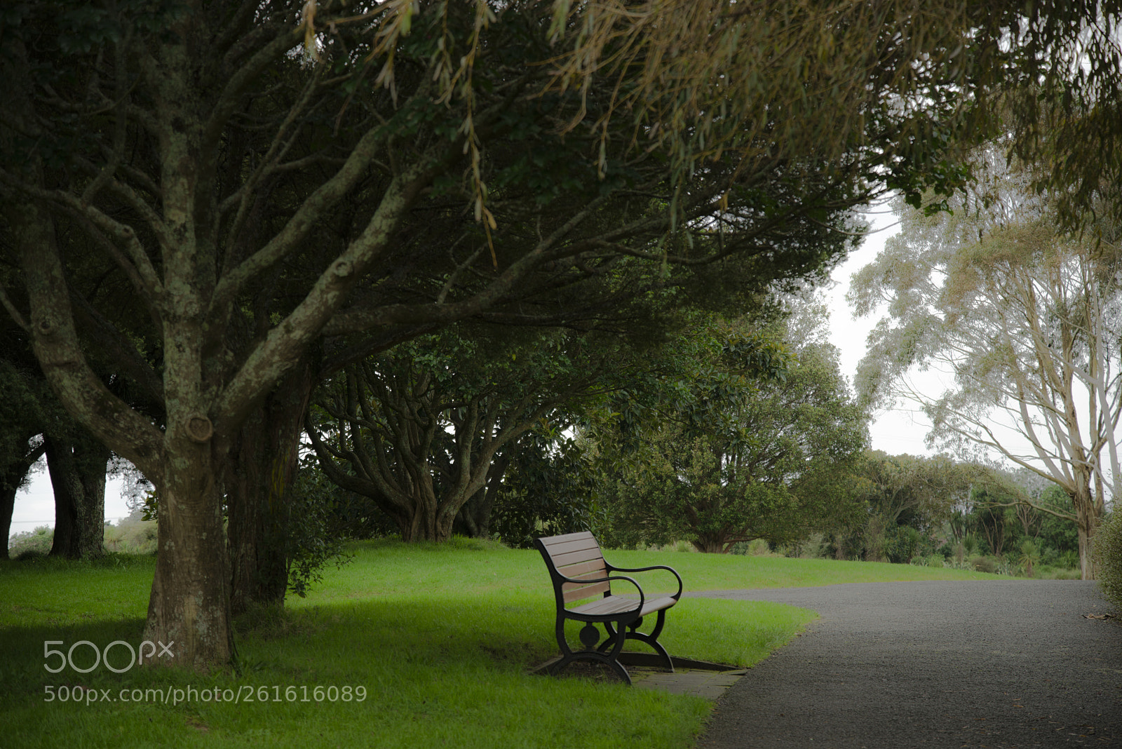 Nikon D610 sample photo. The wait photography